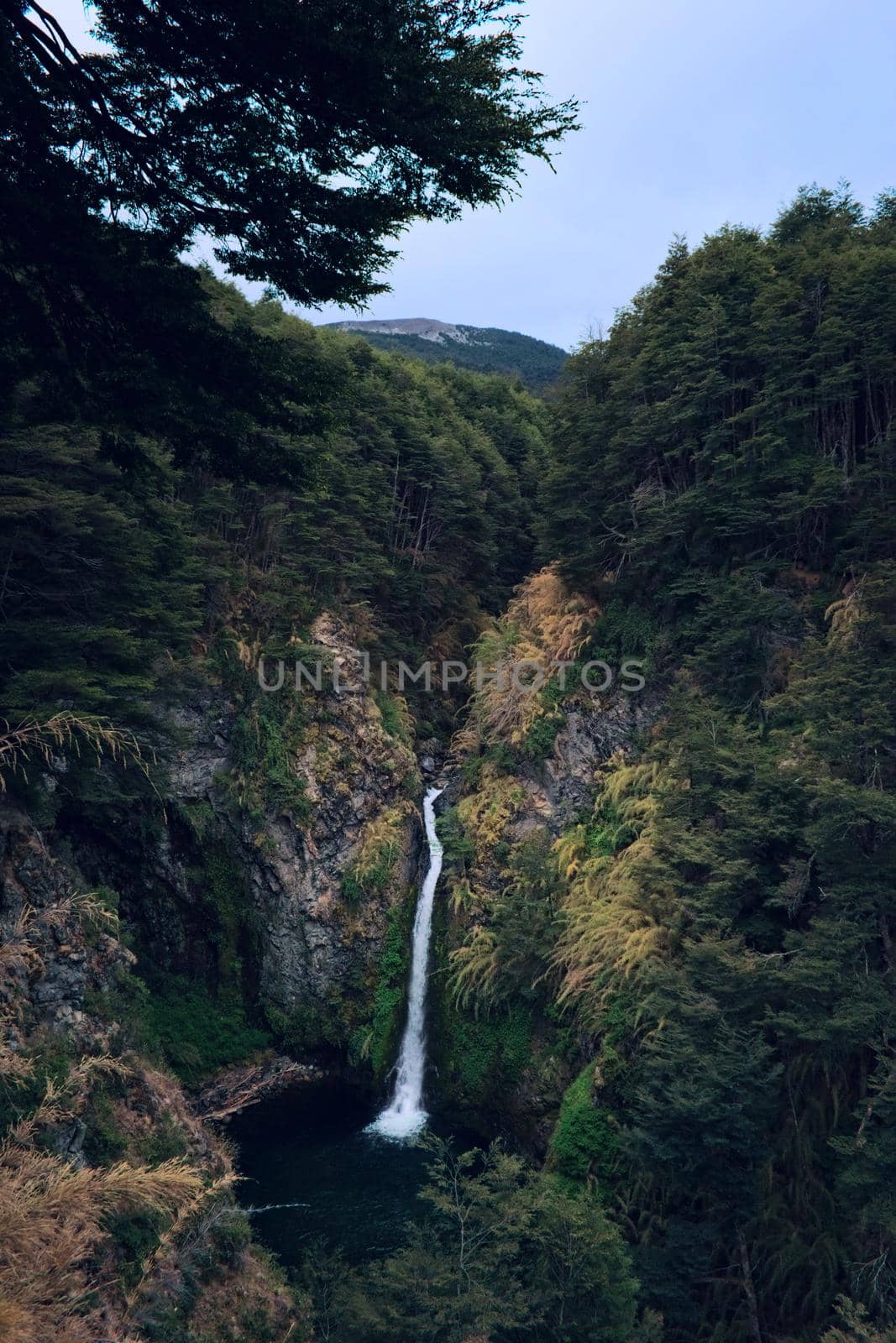 Rio Bonito waterfall, near Villa Angostura, Neuquén. This region is part of the Argentinian Patagonia. by hernan_hyper