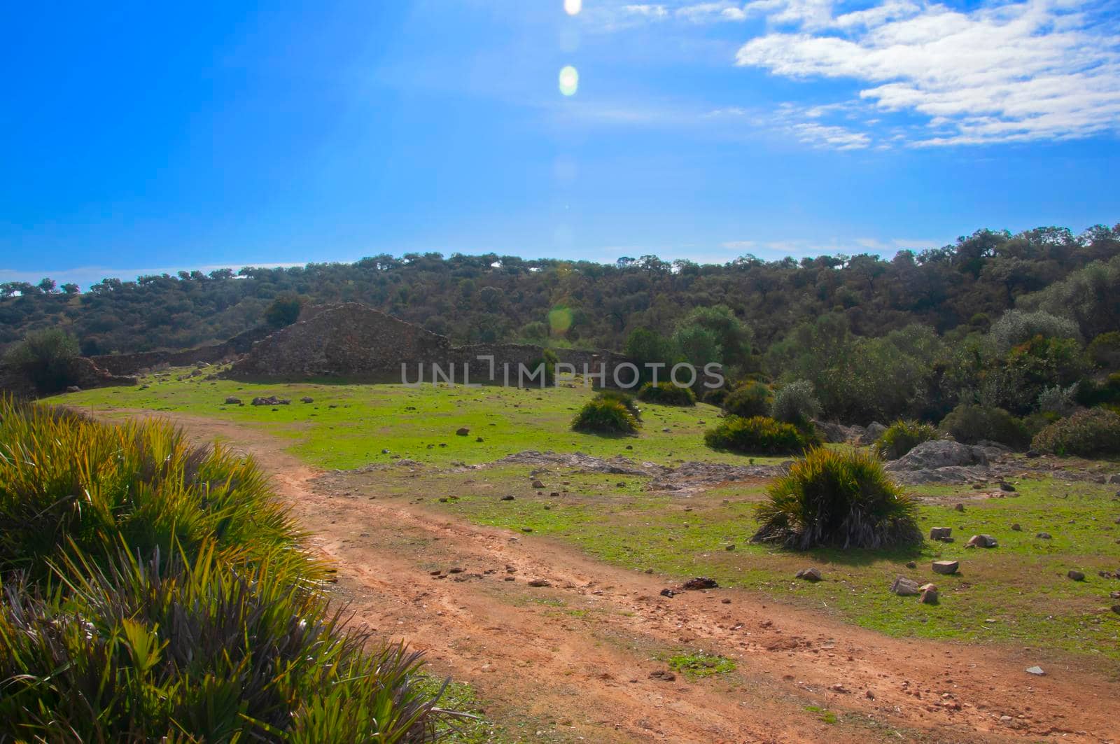 Green valley and ruined walls. Sunny autumn day in Seville, Spain by Bezdnatm