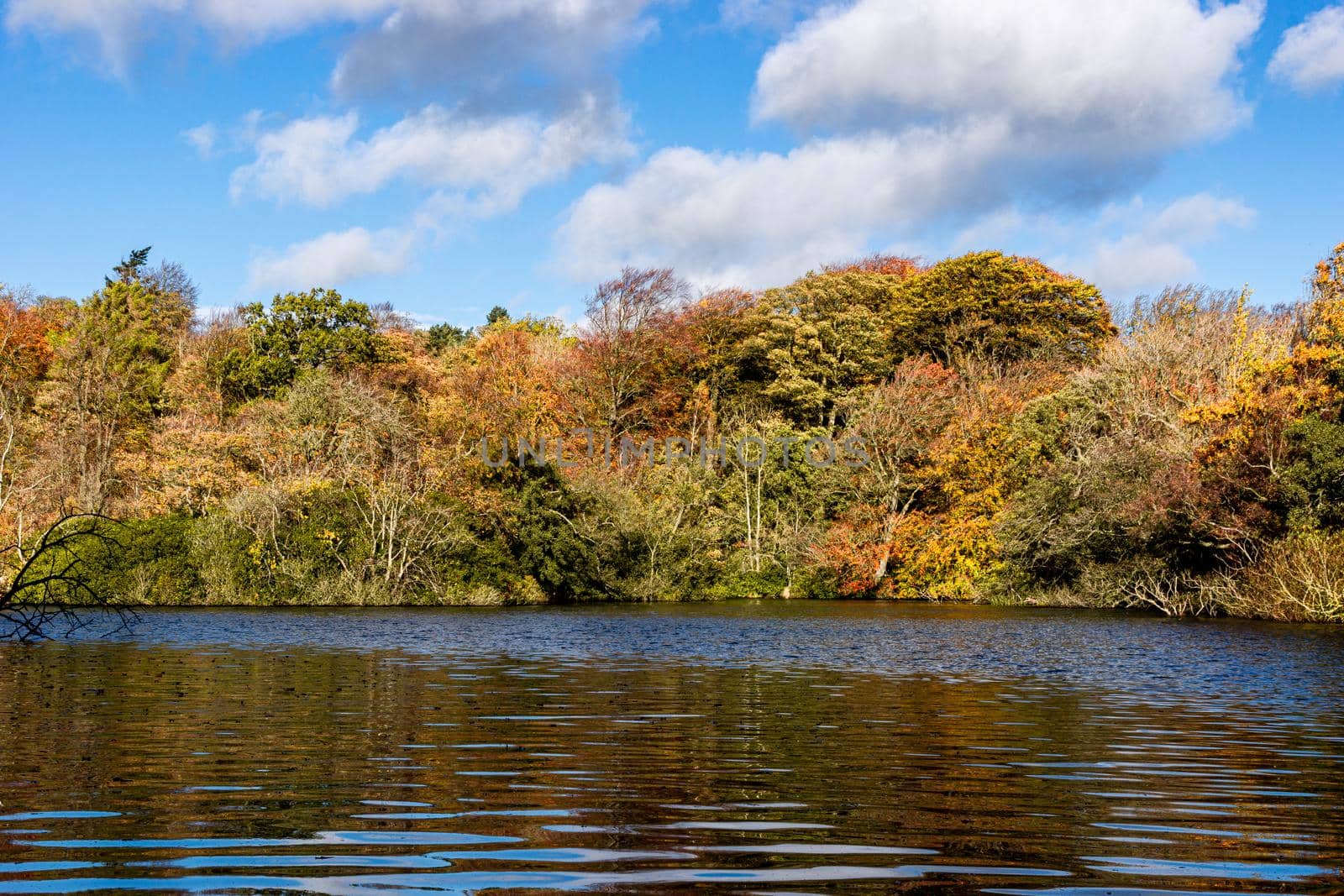 A view of the side of a lake, surrounded by trees, during autumn, with green, yellow and orange leaves, and a partly cloudy sky.