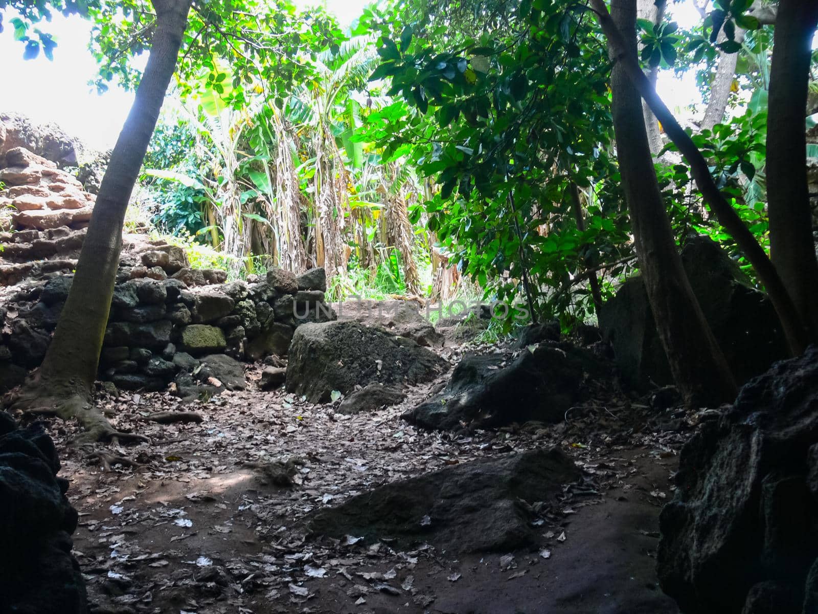 Caves on Easter Island. stones and moisture caves.