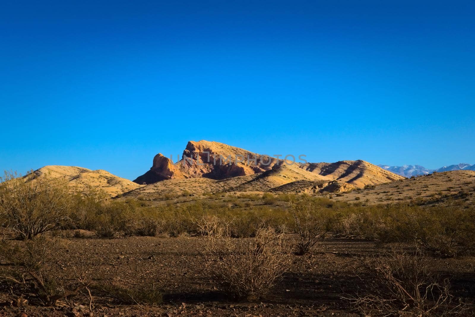 Andean desert landscape beneath a deep blue sky near Uspallata, Mendoza, Argentina.