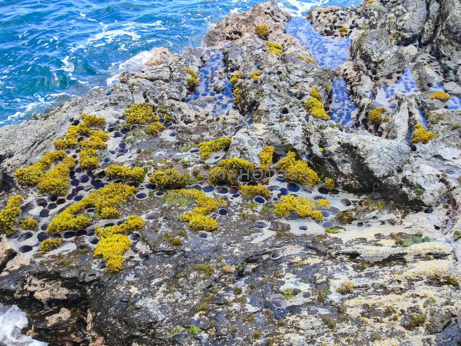 Easter Island coastline. Easter Island coast, rocks and ocean.