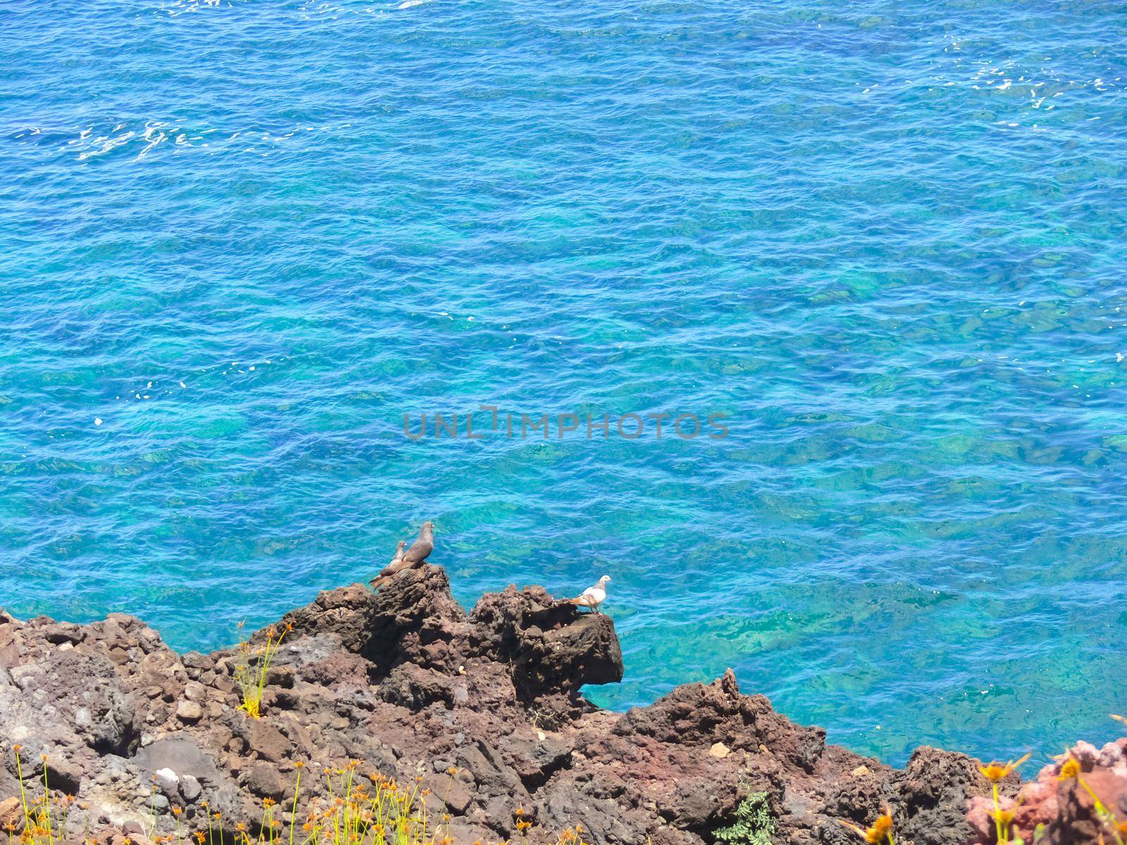 Easter Island coastline. Easter Island coast, rocks and ocean.