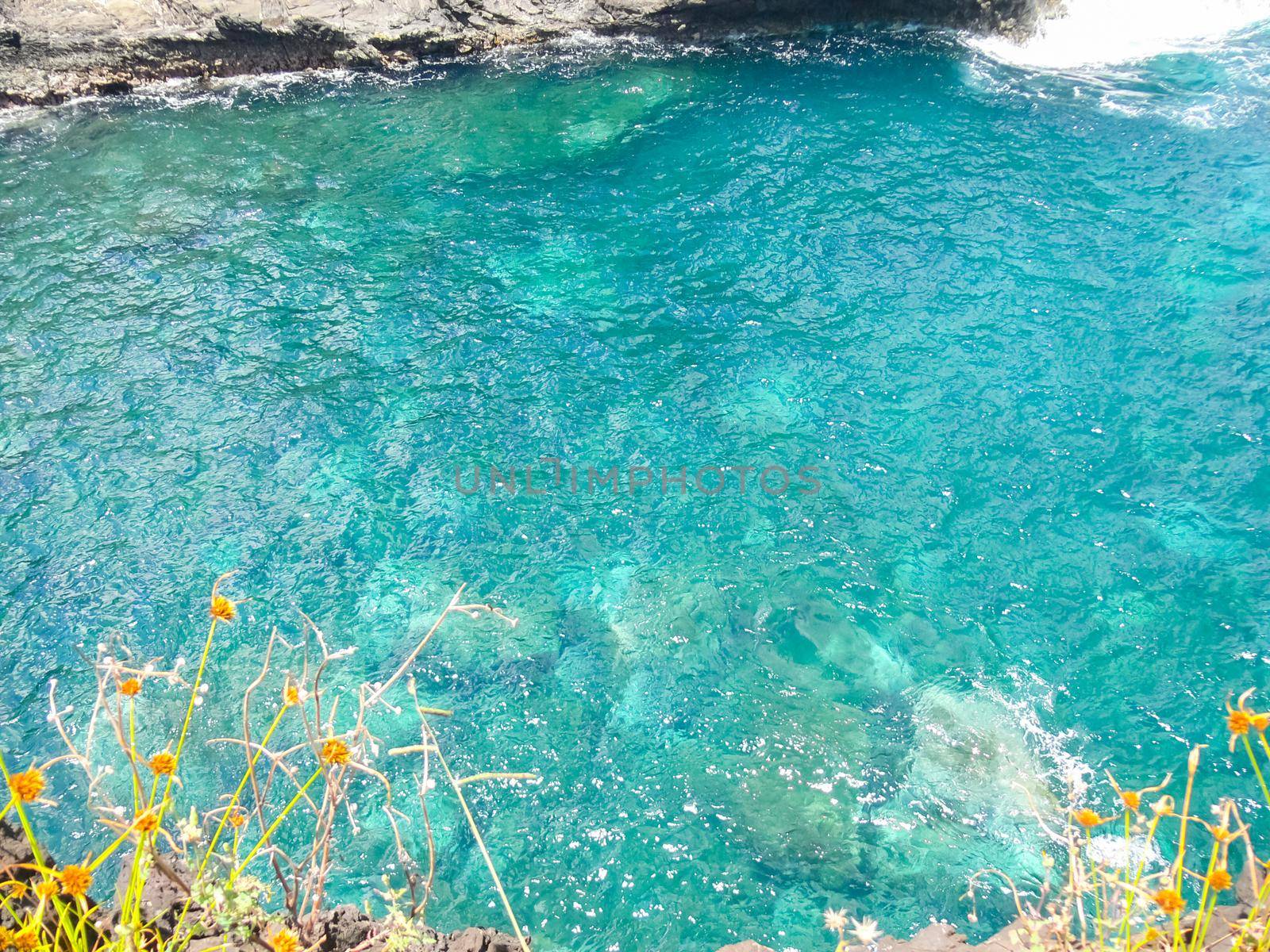 Easter Island coastline. Easter Island coast, rocks, ocean. by DePo