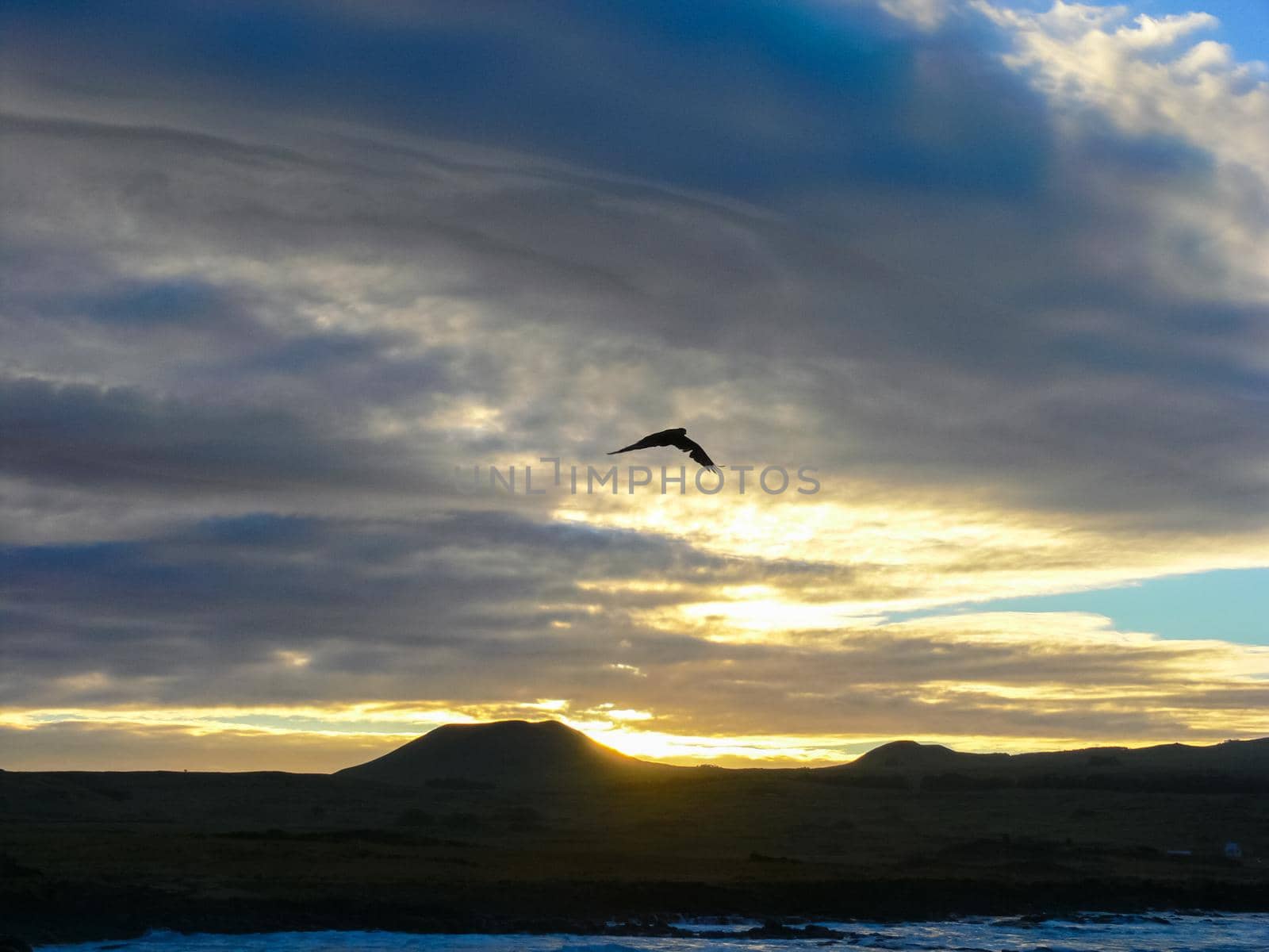 Easter Island coastline. Easter Island coast, rocks, ocean. by DePo