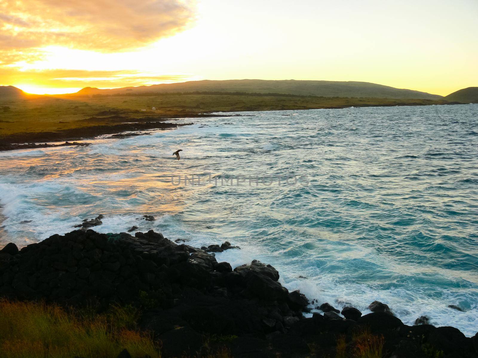 Easter Island coastline. Easter Island coast, rocks, ocean. by DePo