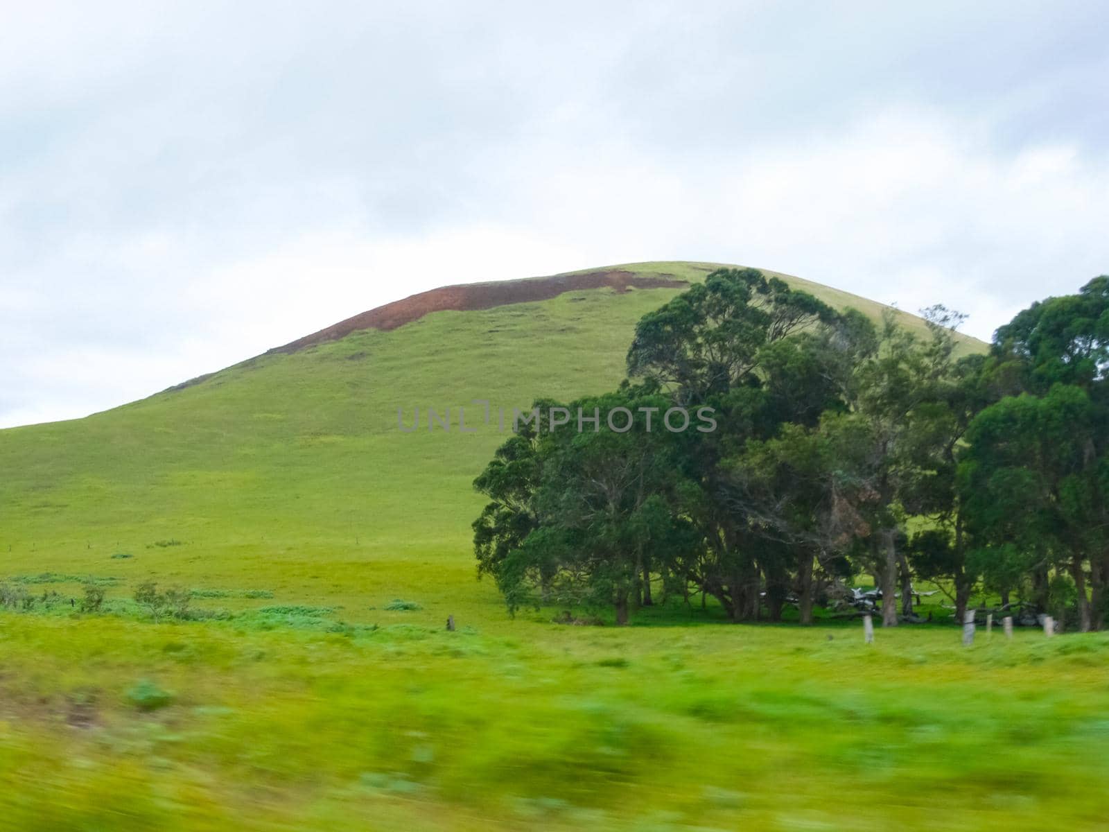 The nature of Easter Island, landscape, vegetation and coast.