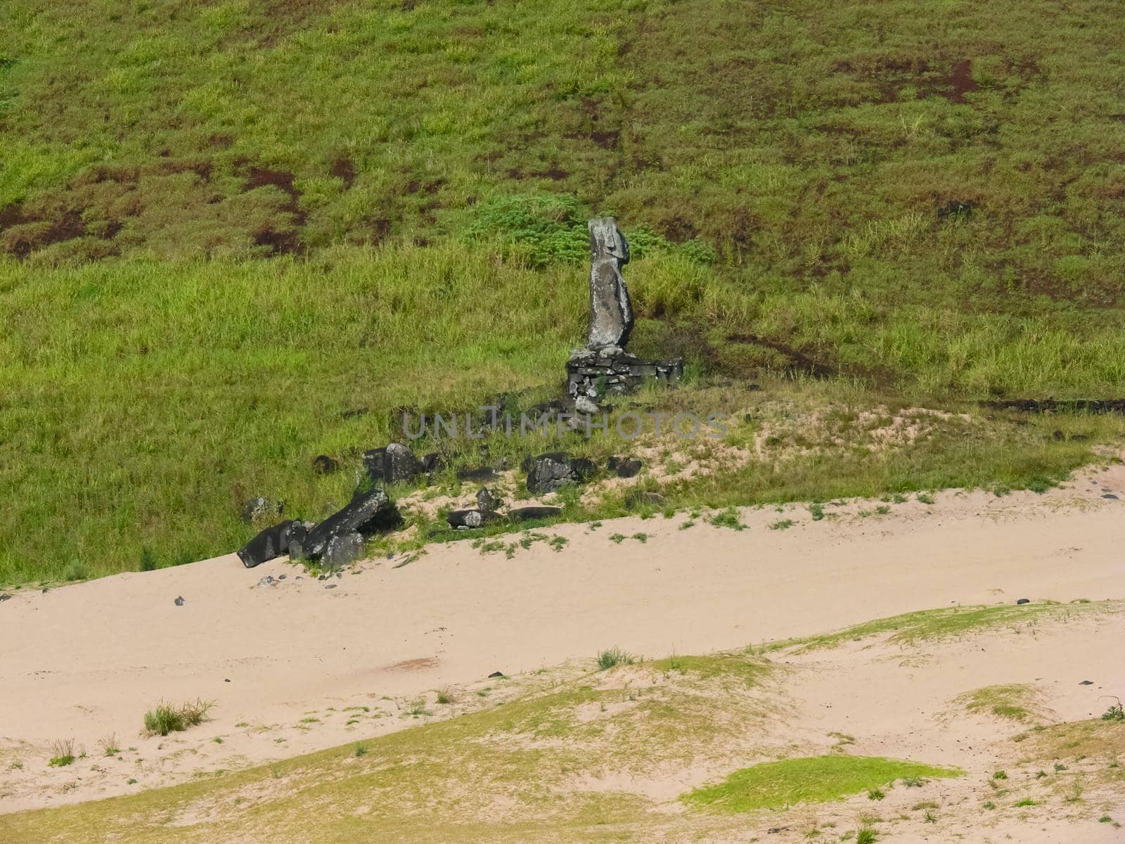 The nature of Easter Island, landscape, vegetation and coast.