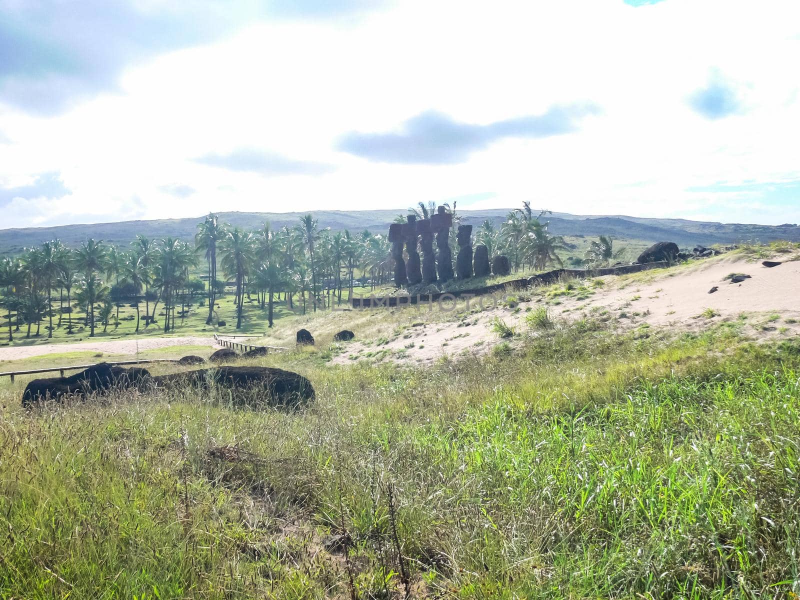 nature of Easter Island, landscape, vegetation and coast. by DePo