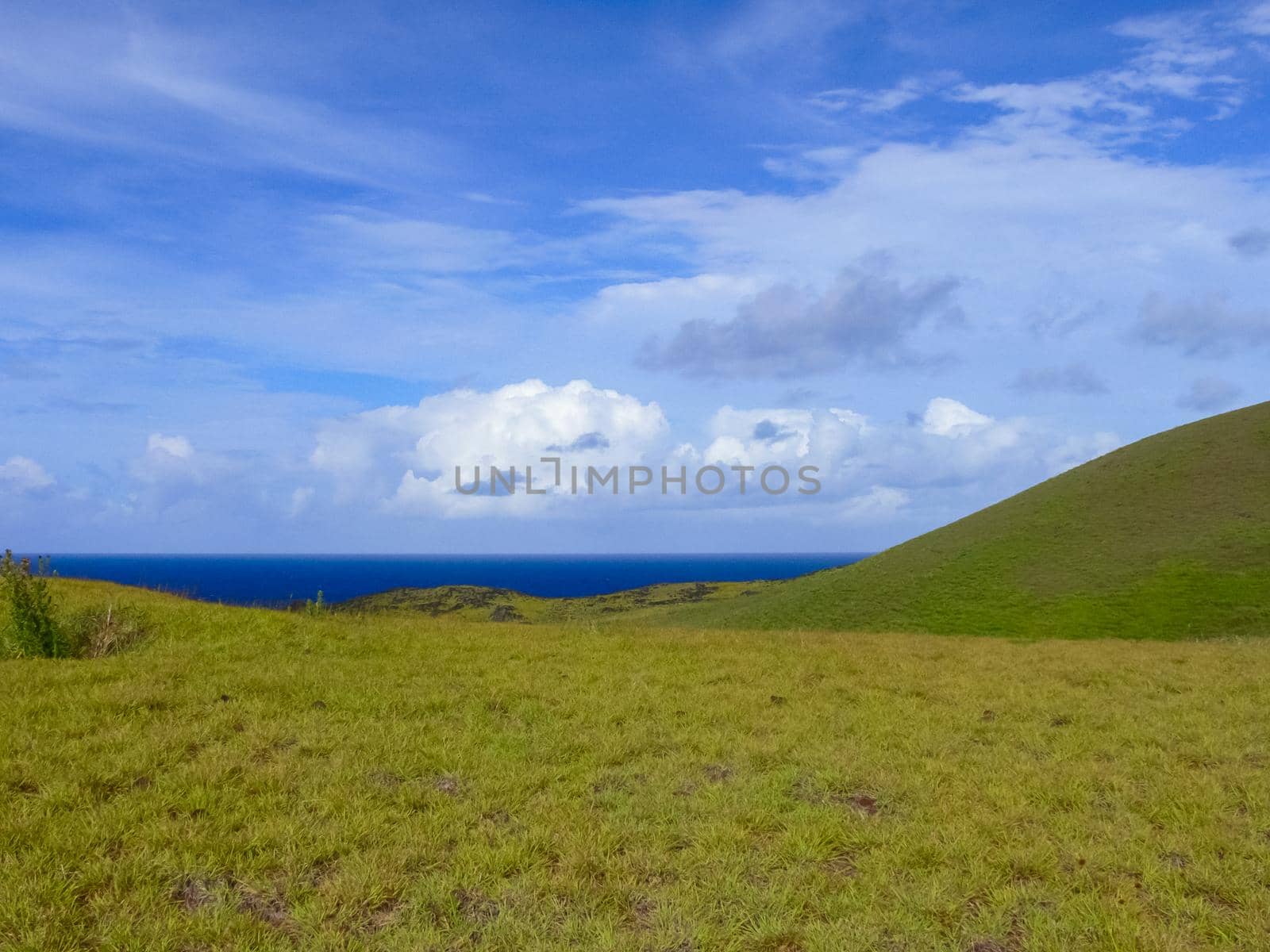 nature of Easter Island, landscape, vegetation and coast. by DePo