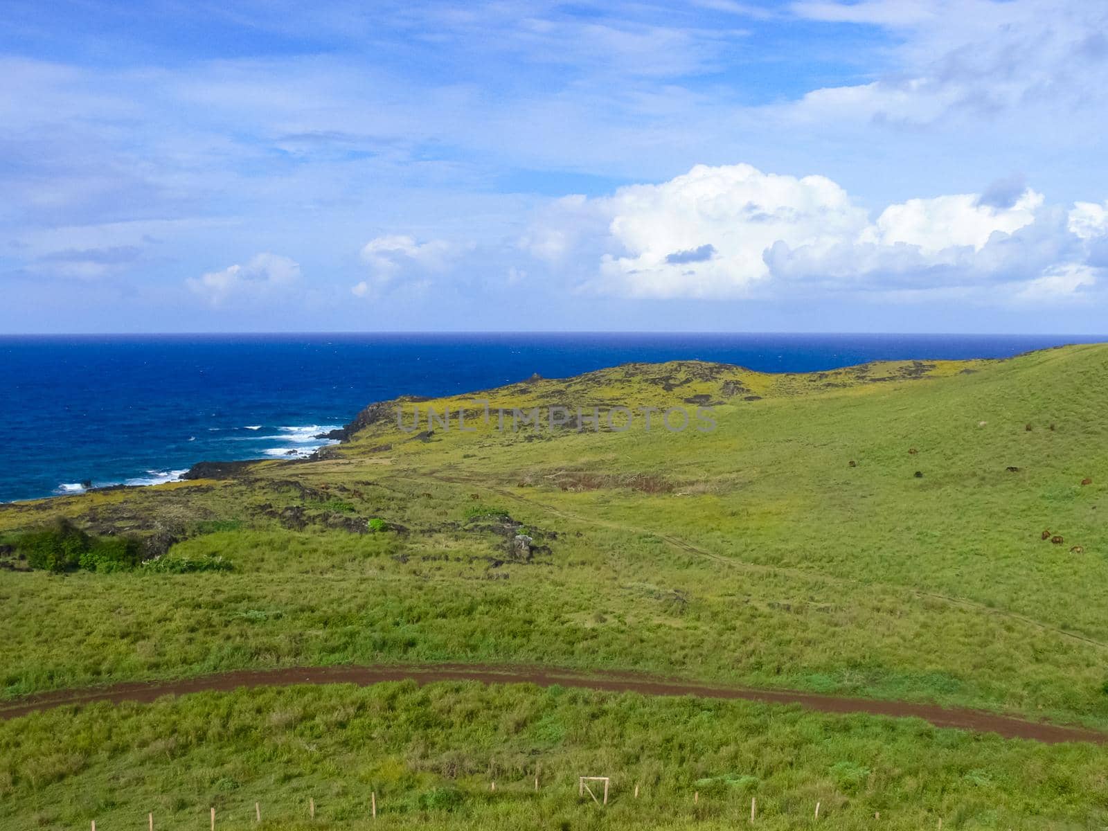 The nature of Easter Island, landscape, vegetation and coast.