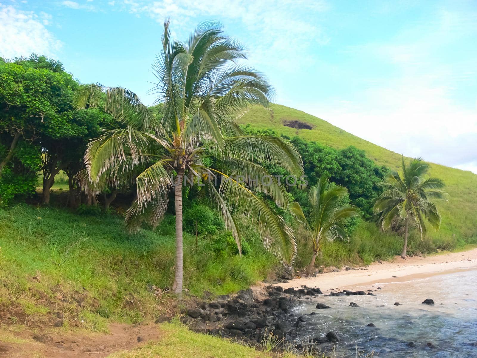 The nature of Easter Island, landscape, vegetation and coast.