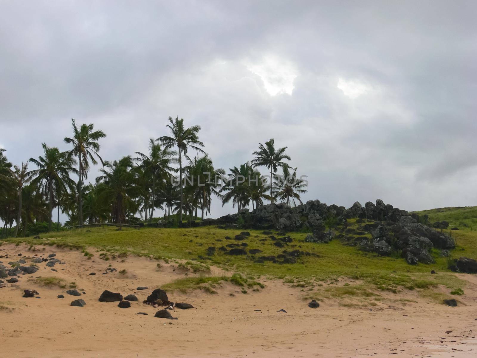 The nature of Easter Island, landscape, vegetation and coast.