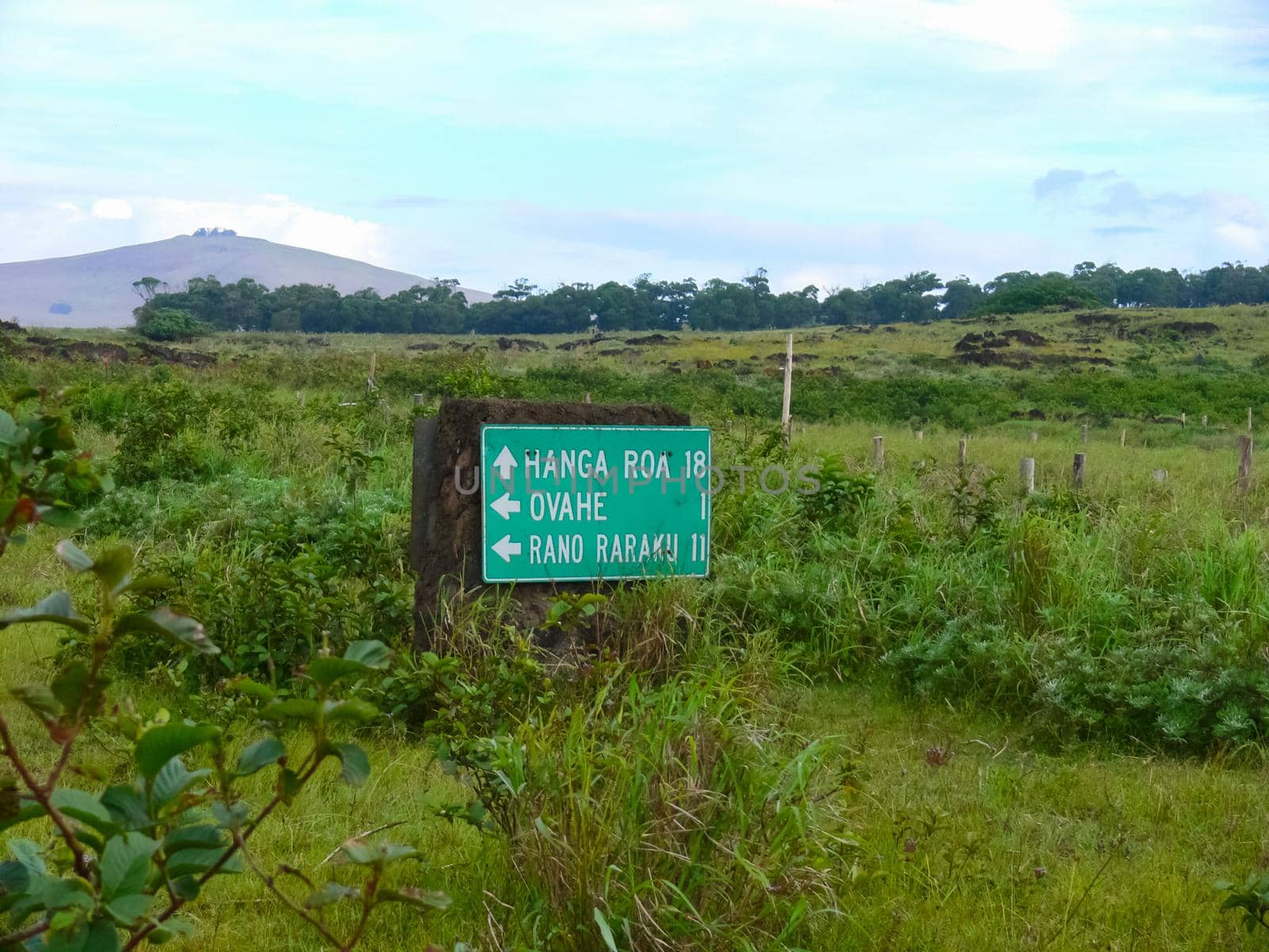 nature of Easter Island, landscape, vegetation and coast. by DePo