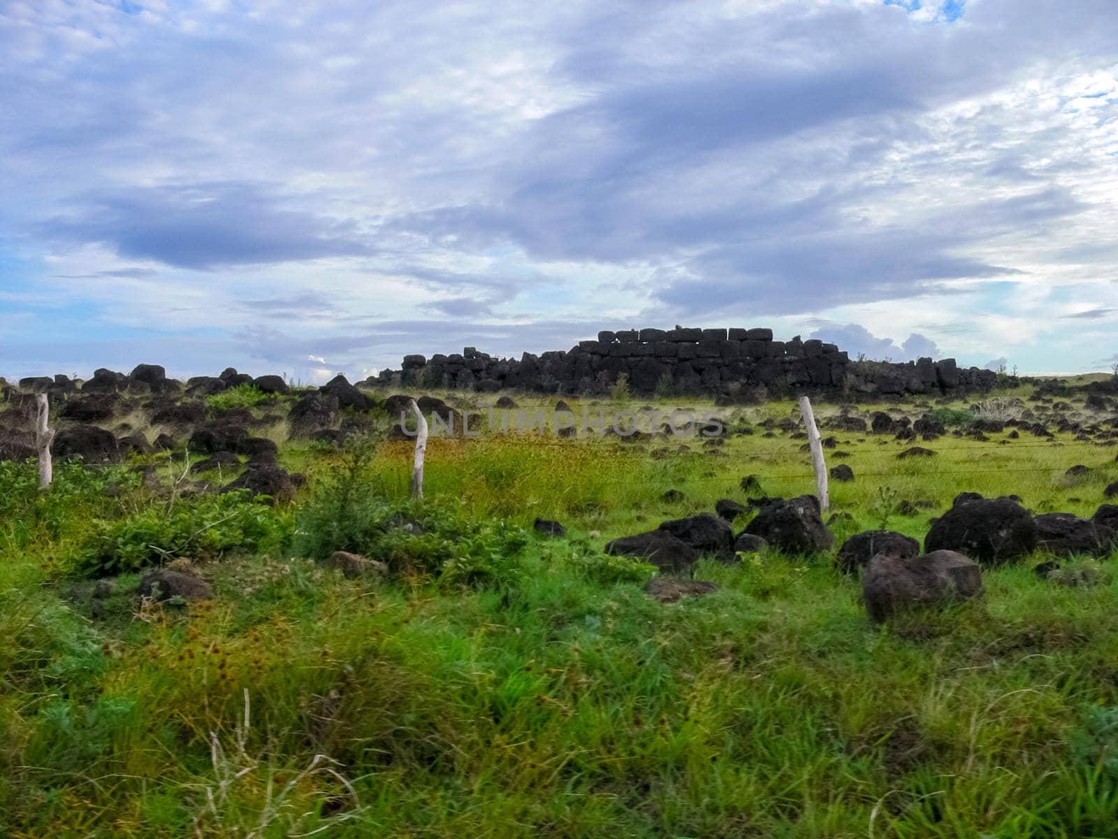 The nature of Easter Island, landscape, vegetation and coast.