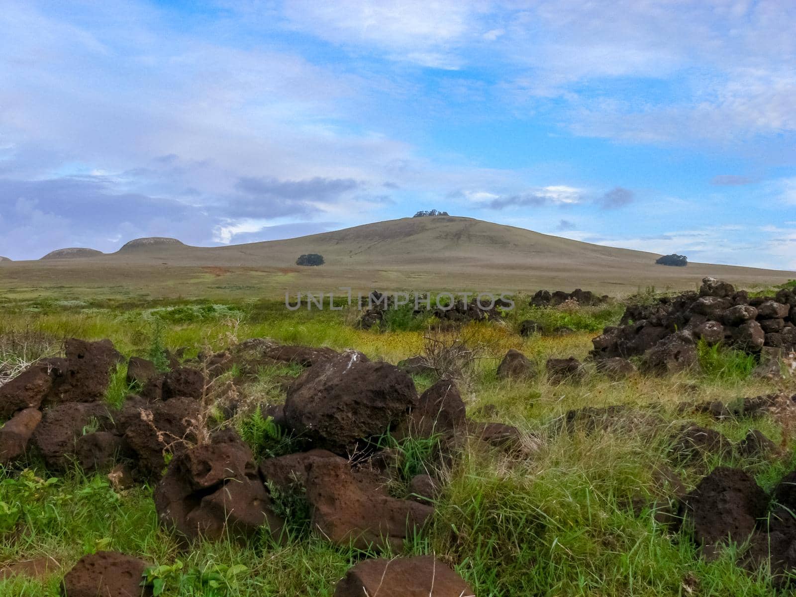 The nature of Easter Island, landscape, vegetation and coast.