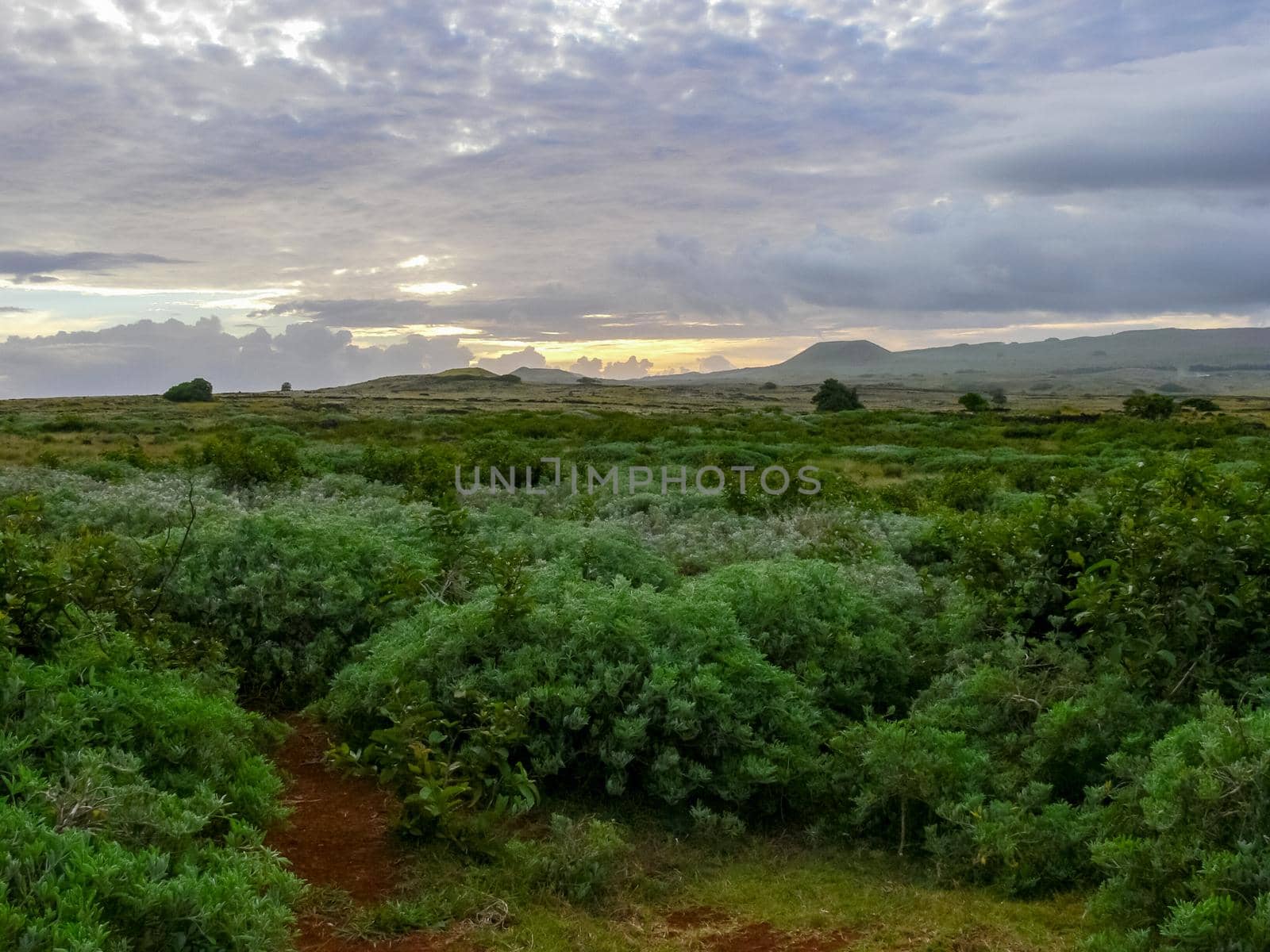 The nature of Easter Island, landscape, vegetation and coast.