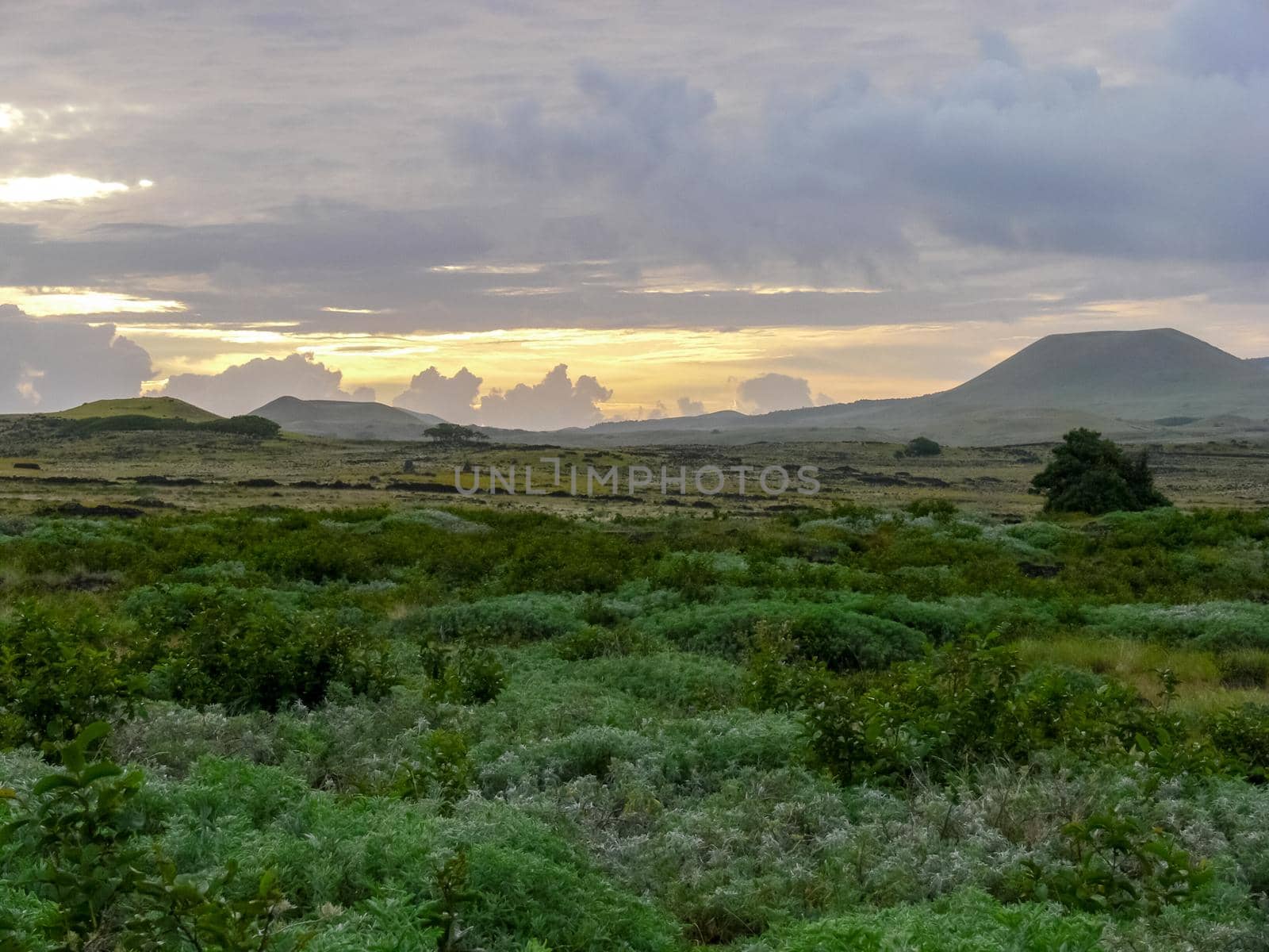 The nature of Easter Island, landscape, vegetation and coast.