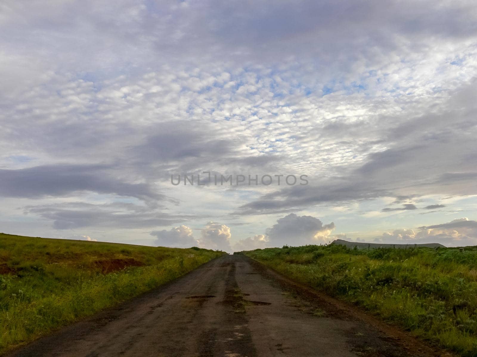 nature of Easter Island, landscape, vegetation and coast. by DePo