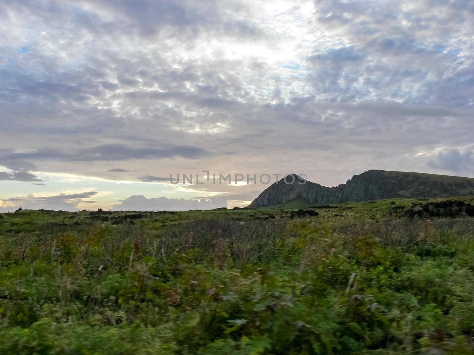 The nature of Easter Island, landscape, vegetation and coast.