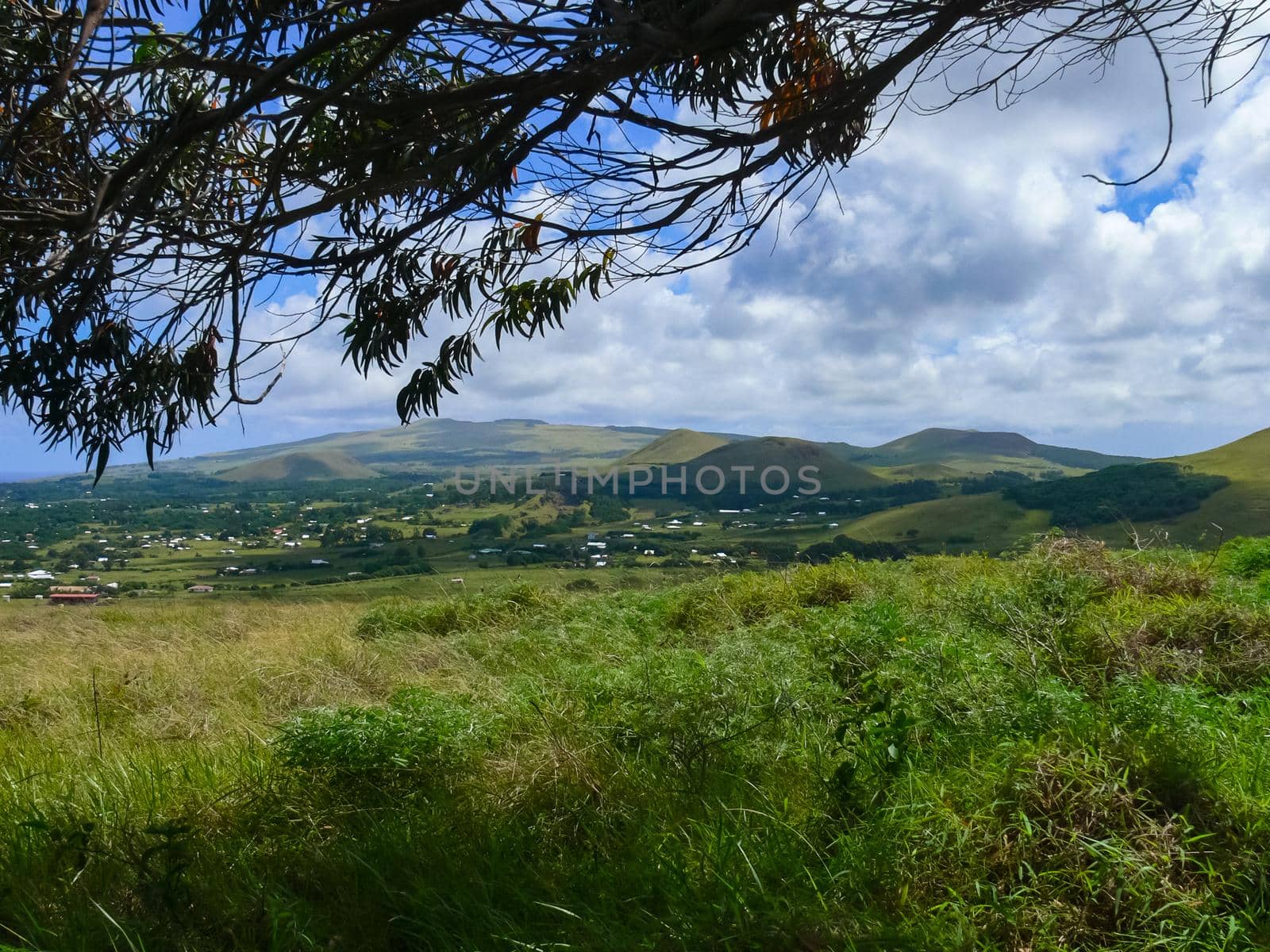 The nature of Easter Island, landscape, vegetation and coast.