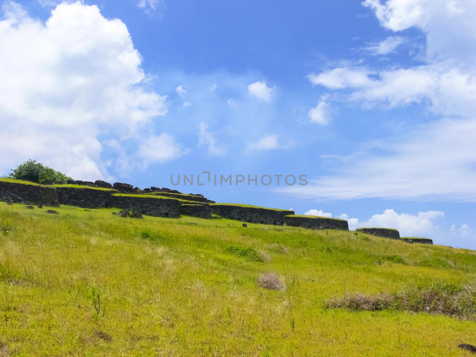 The nature of Easter Island, landscape, vegetation and coast.