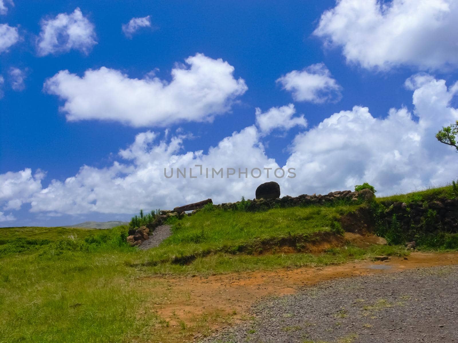 nature of Easter Island, landscape, vegetation and coast. by DePo