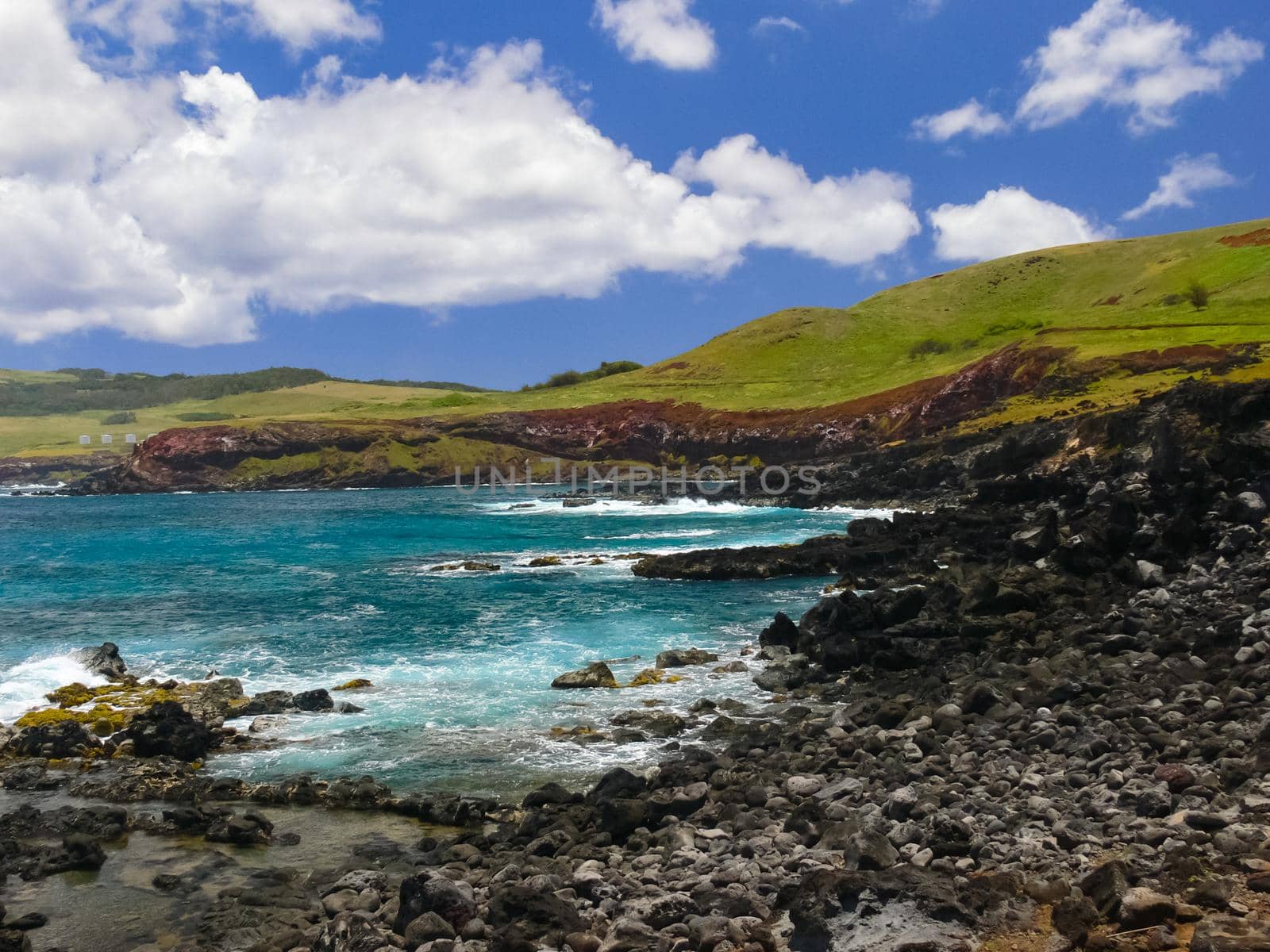 nature of Easter Island, landscape, vegetation and coast. by DePo