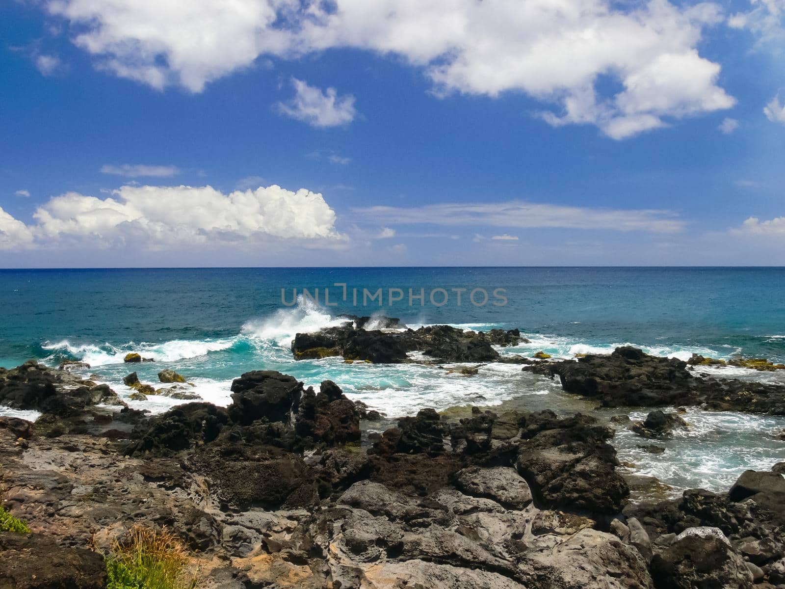 nature of Easter Island, landscape, vegetation and coast. by DePo