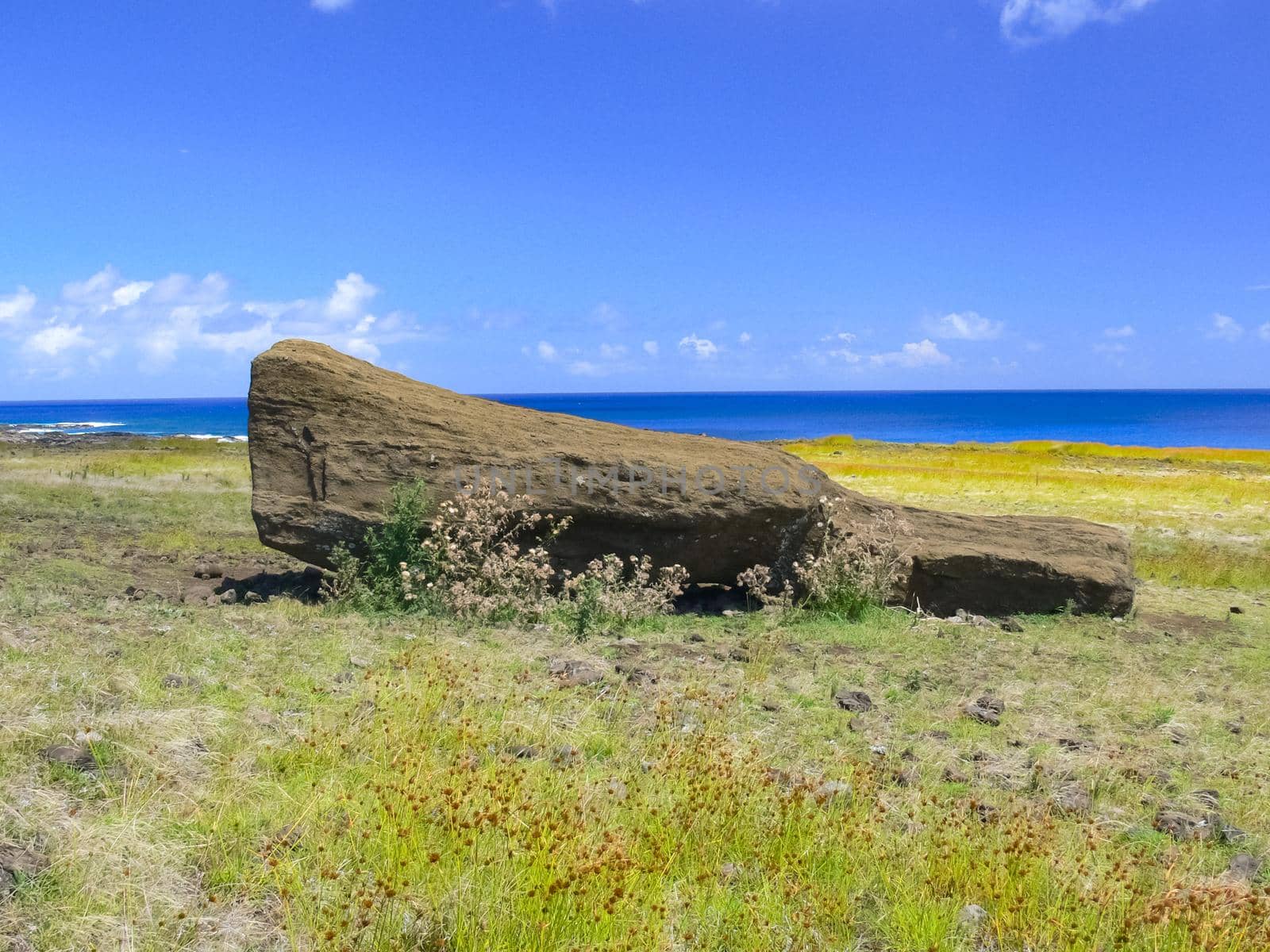 The nature of Easter Island, landscape, vegetation and coast.