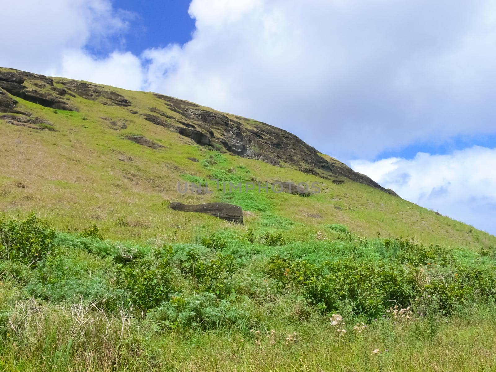 The nature of Easter Island, landscape, vegetation and coast.