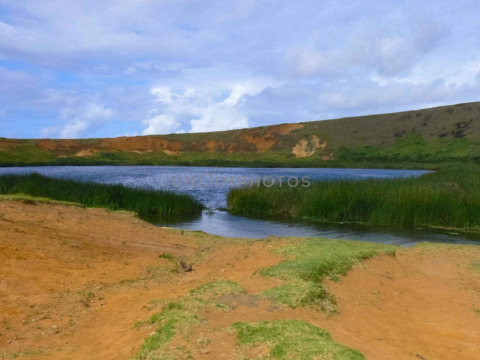 nature of Easter Island, landscape, vegetation and coast. by DePo