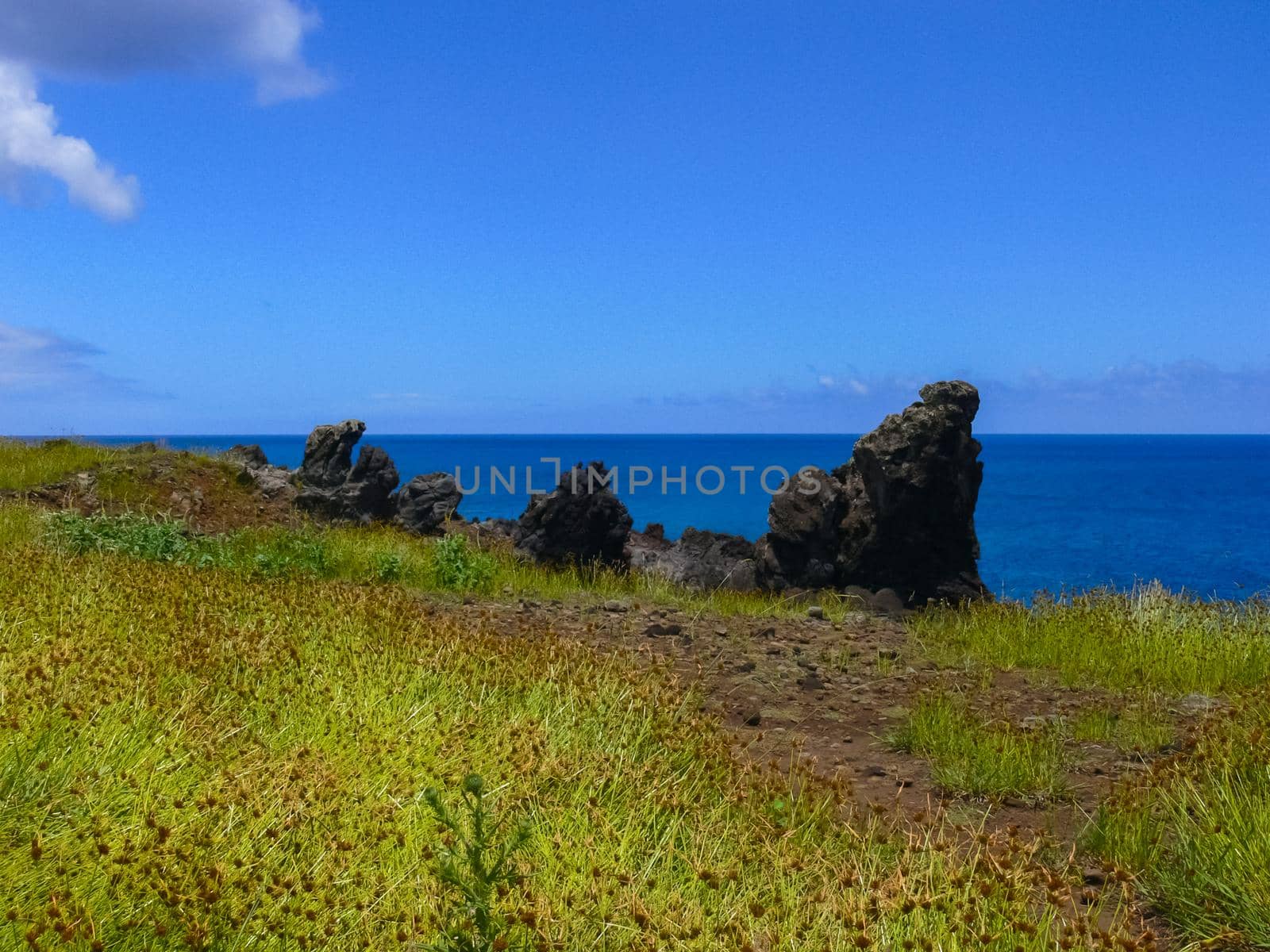 The nature of Easter Island, landscape, vegetation and coast.