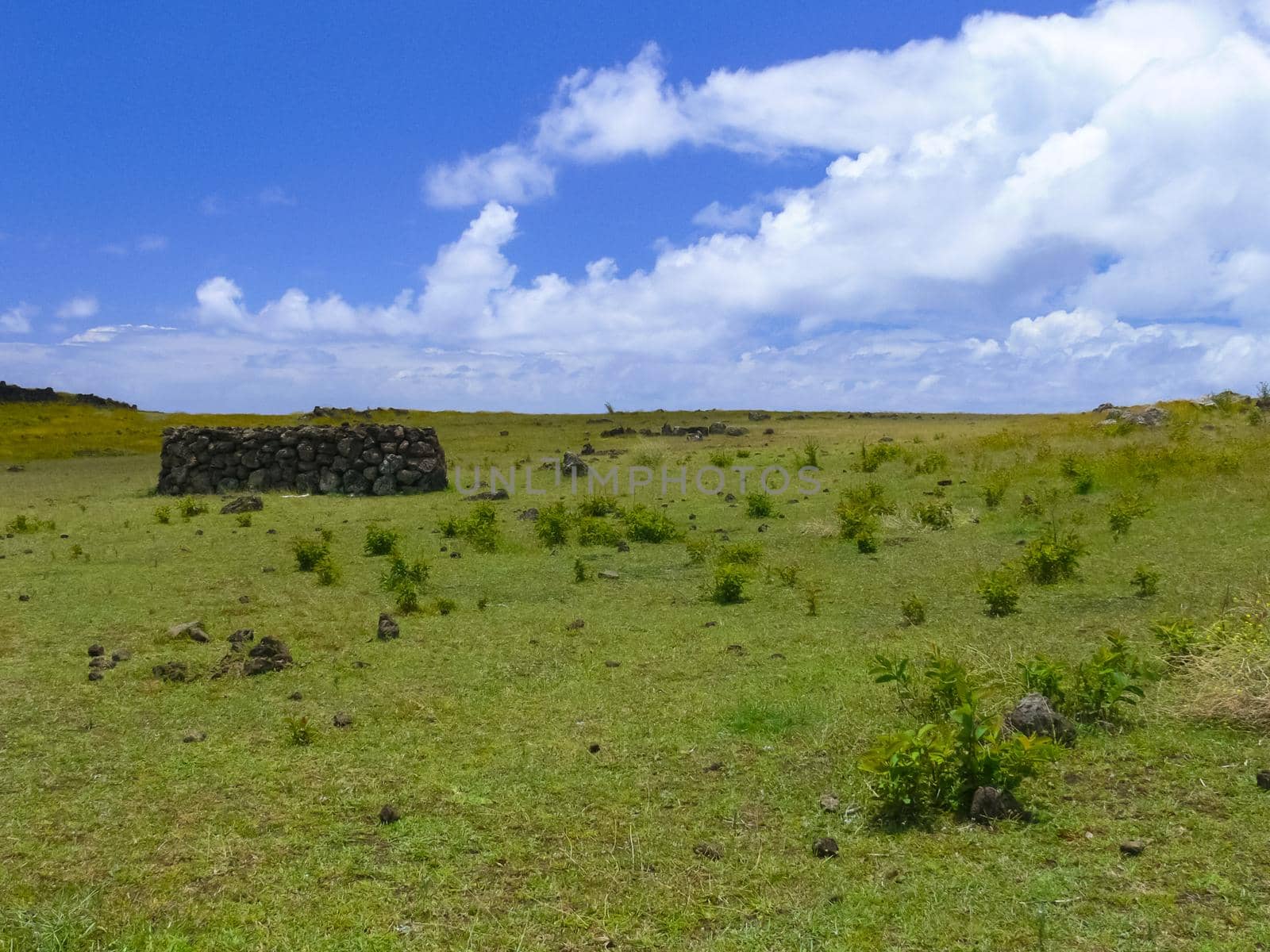 nature of Easter Island, landscape, vegetation and coast. by DePo