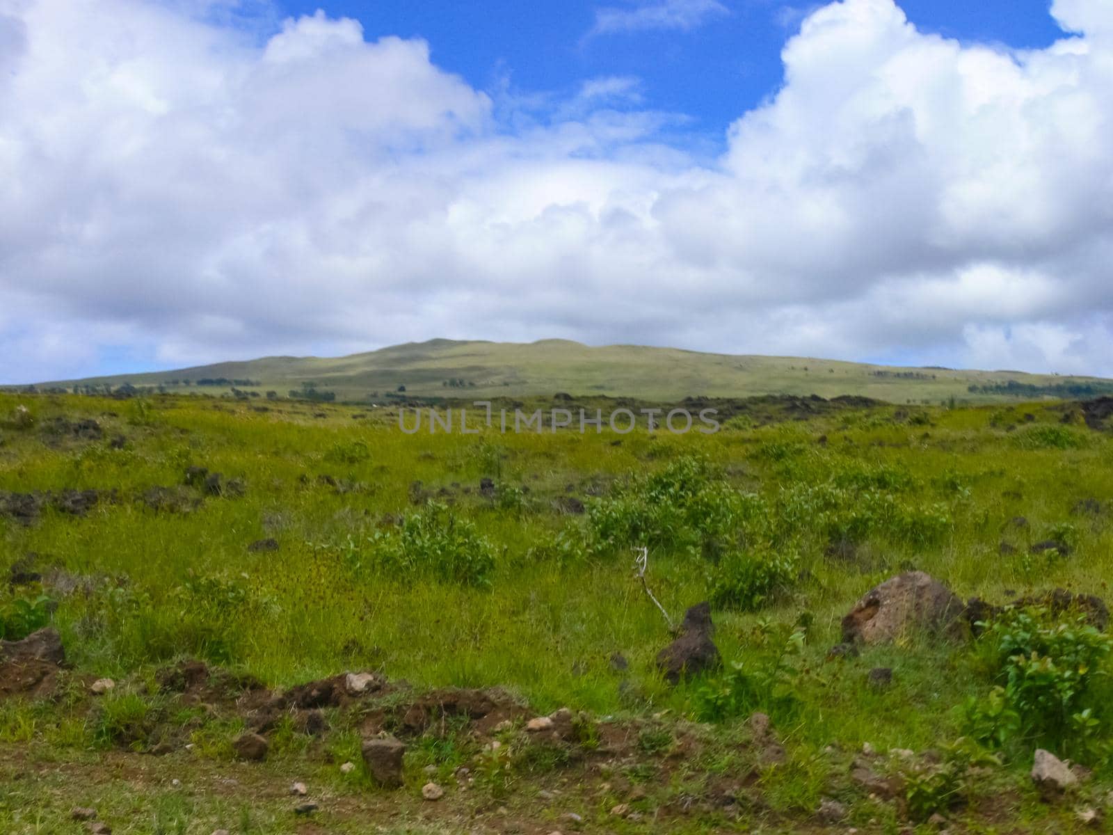 The nature of Easter Island, landscape, vegetation and coast.