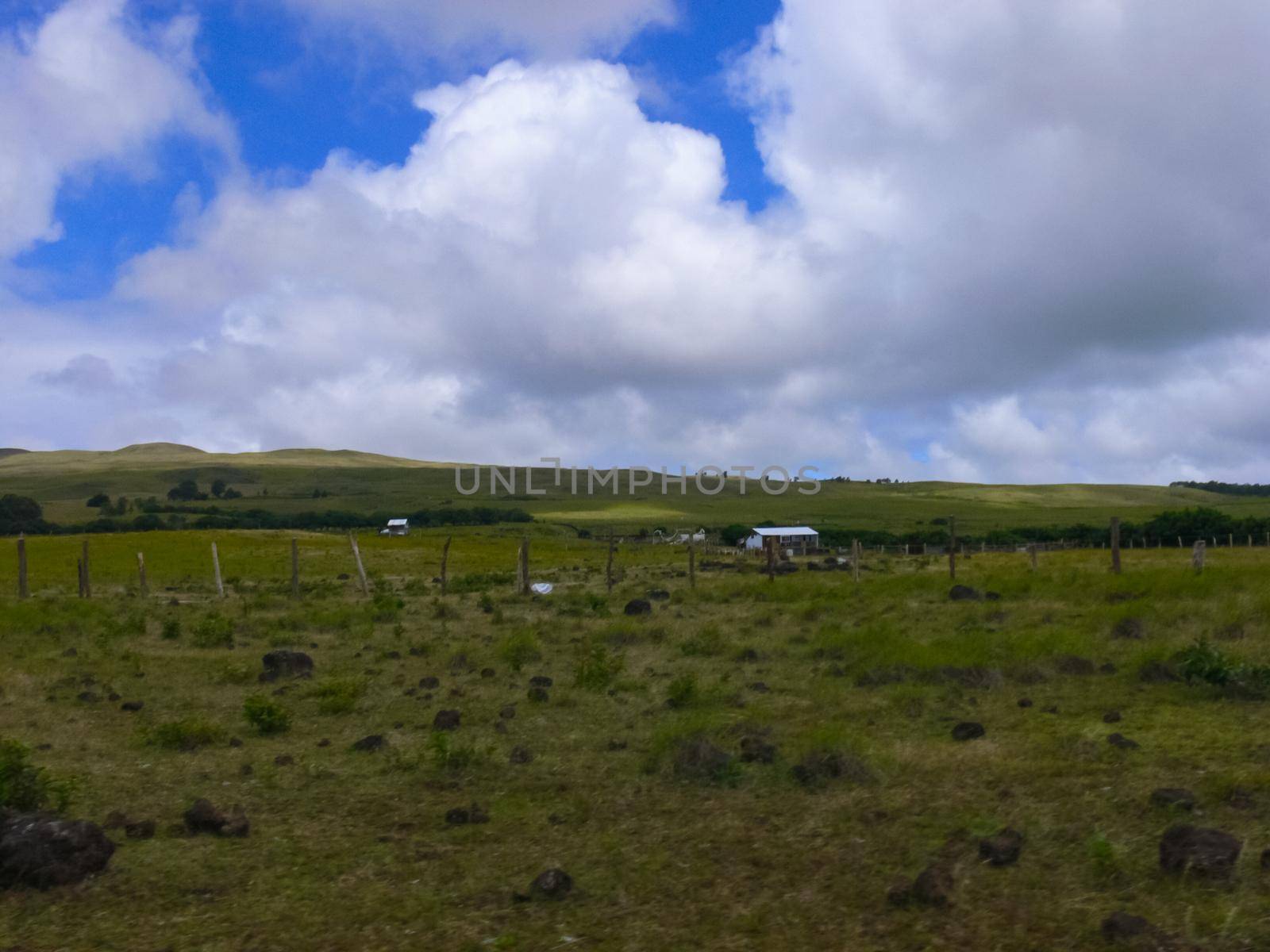 nature of Easter Island, landscape, vegetation and coast. by DePo