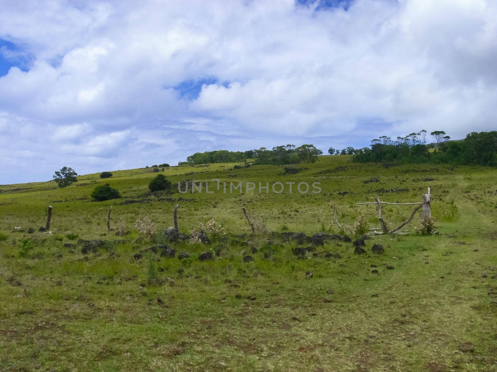 nature of Easter Island, landscape, vegetation and coast. by DePo