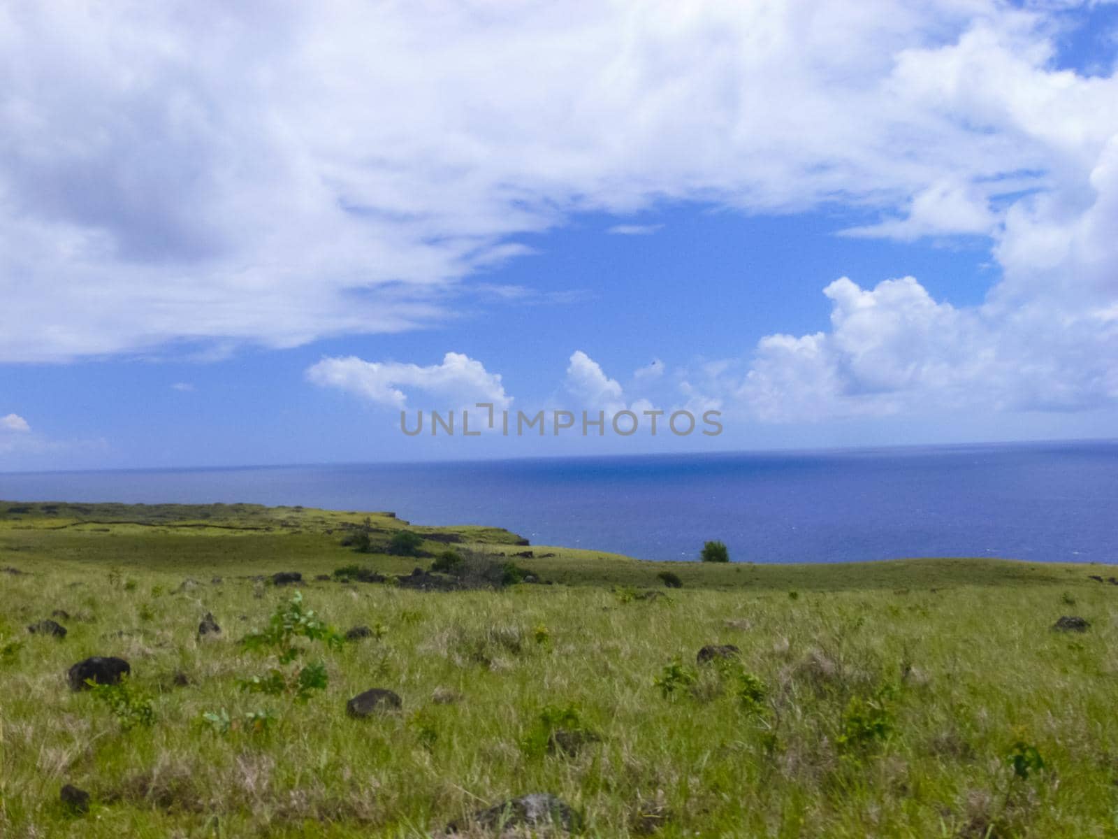 nature of Easter Island, landscape, vegetation and coast. by DePo