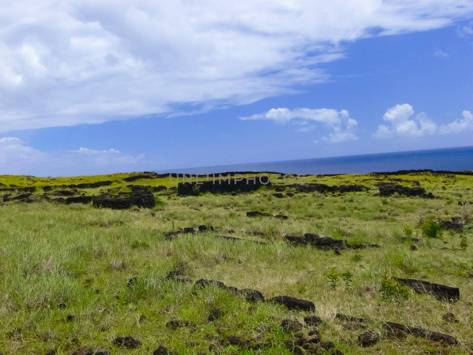nature of Easter Island, landscape, vegetation and coast. by DePo