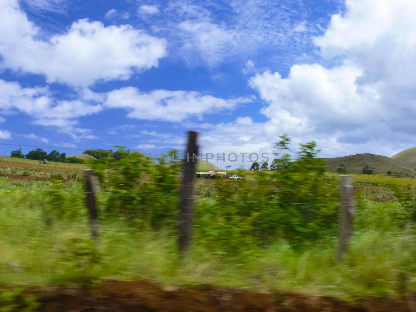 The nature of Easter Island, landscape, vegetation and coast.