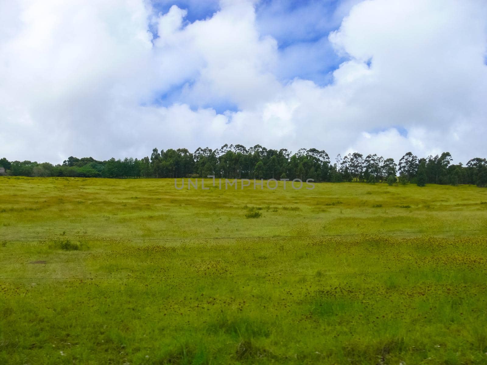 nature of Easter Island, landscape, vegetation and coast. by DePo