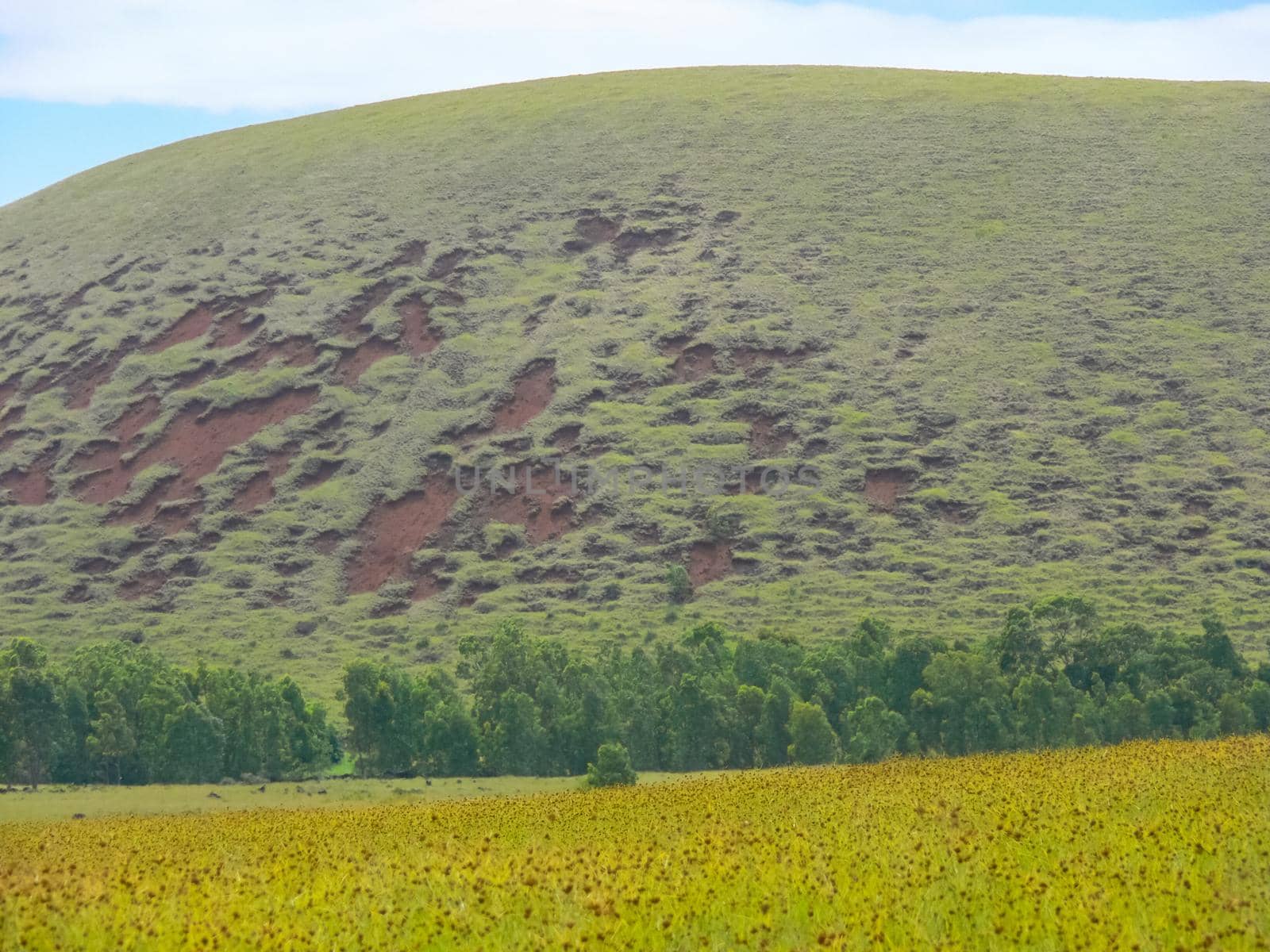 The nature of Easter Island, landscape, vegetation and coast.