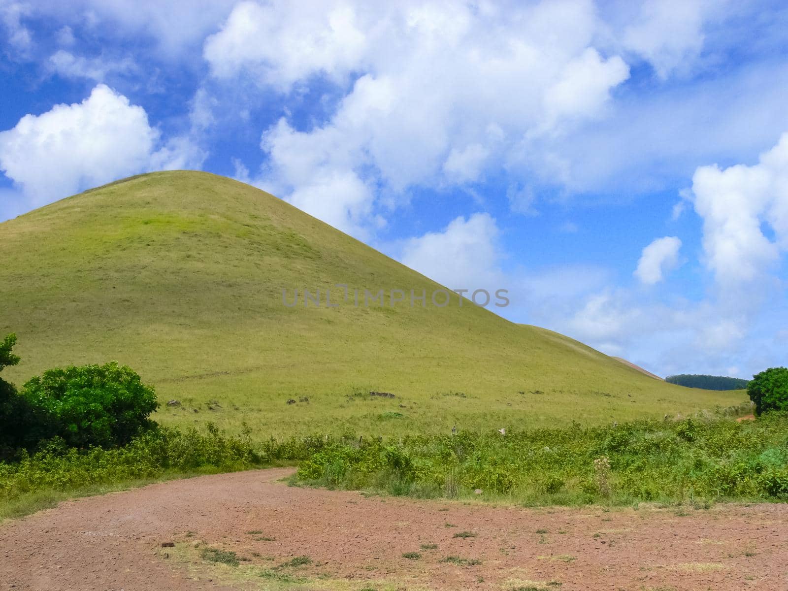 nature of Easter Island, landscape, vegetation and coast. by DePo