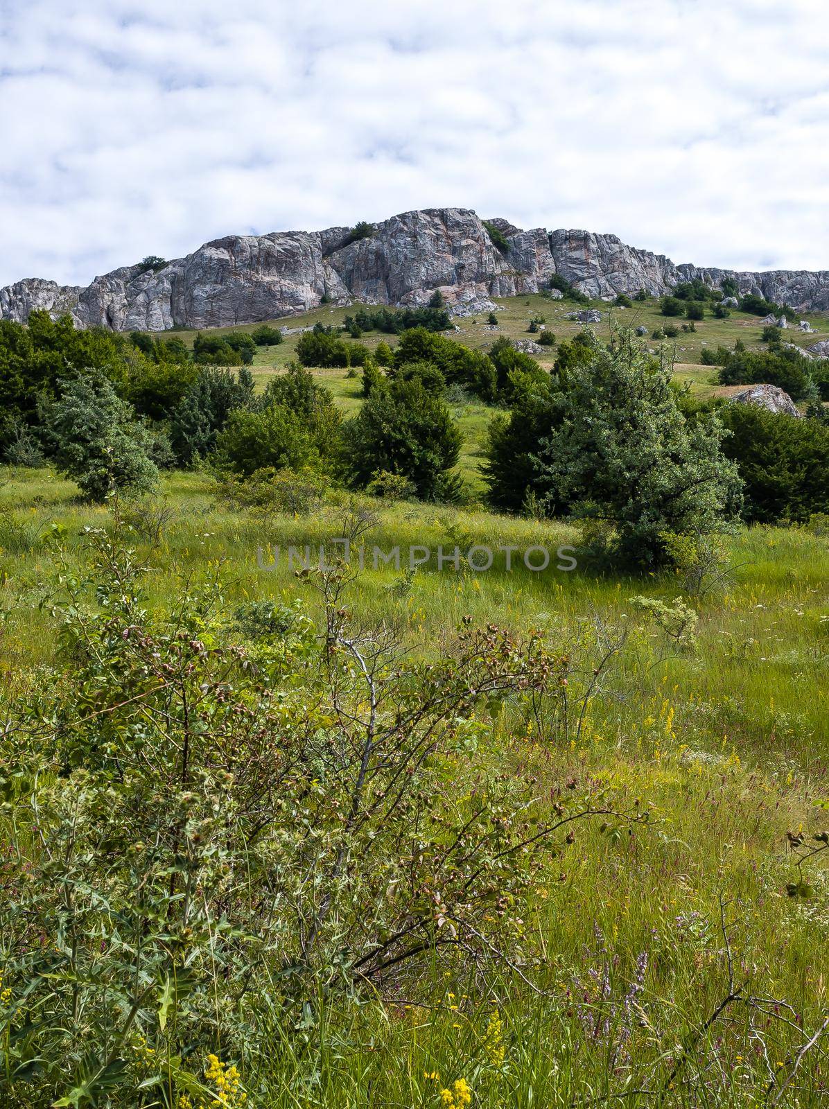 Inaccessible rocks surrounded by green forests and shrubs in hot summers in clear sunny weather.