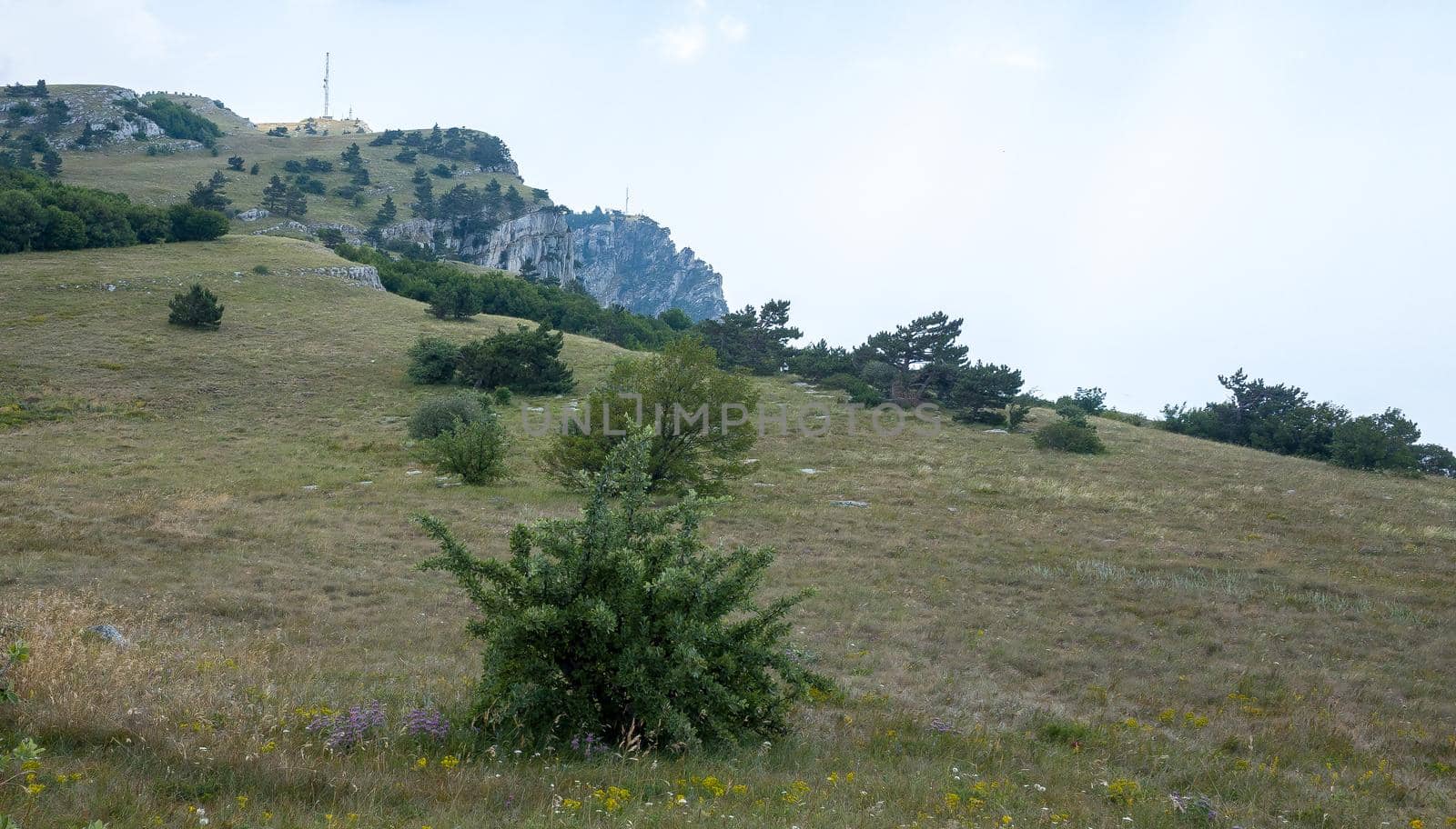 Mountain landscape on the plateau of the Yalta Yayla near the Ai-Petri peak.
