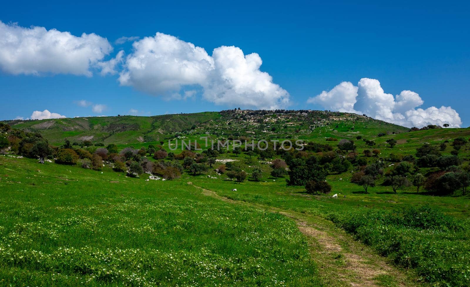 Water meadows and hills on the Mediterranean coast on the island of Cyprus.