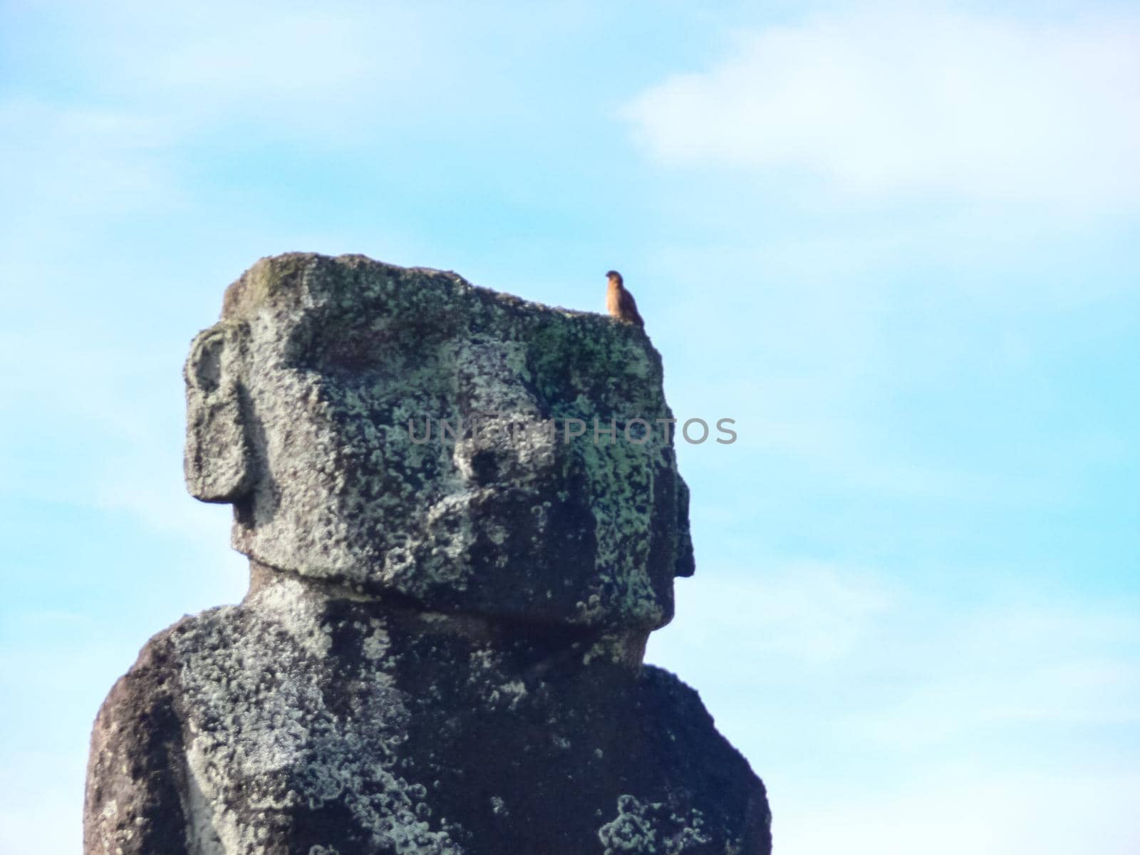 Statues of the gods of Easter Island. Ancient statues of ancient civilization on Easter Island.