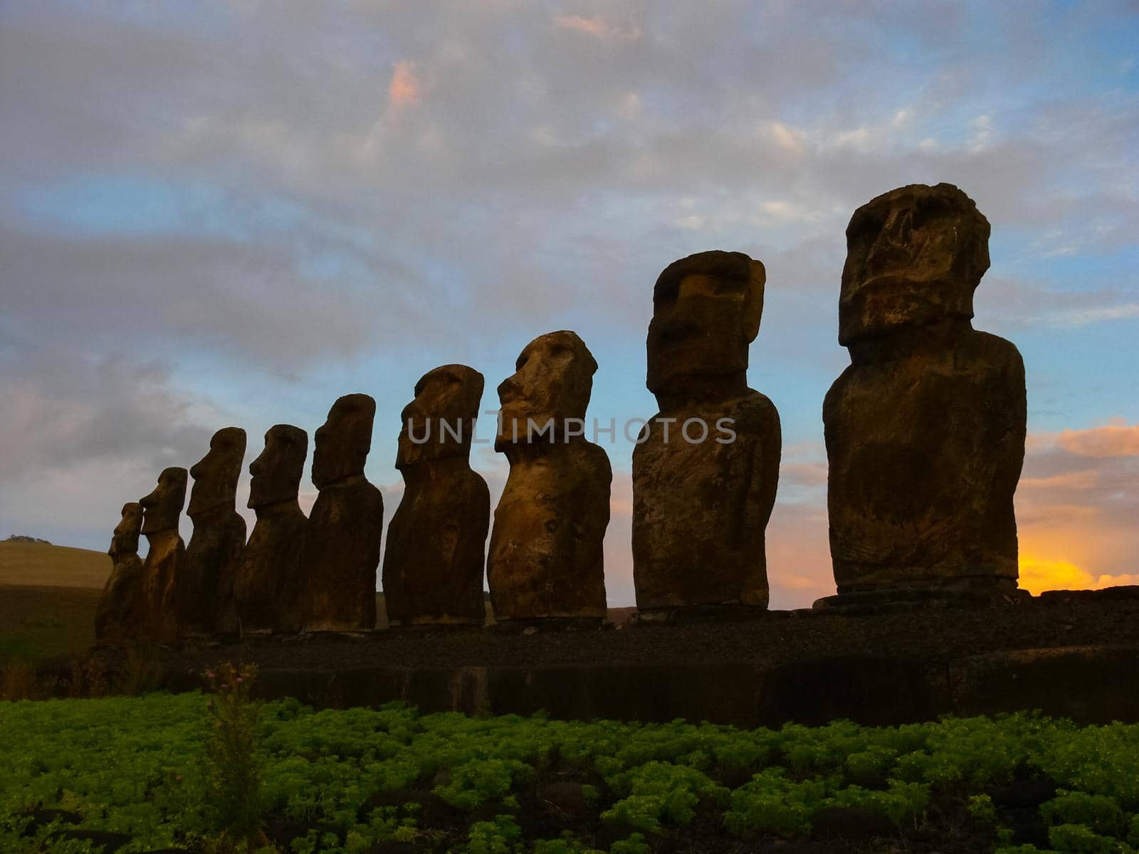 Statues of the gods of Easter Island. Ancient statues of ancient civilization on Easter Island.