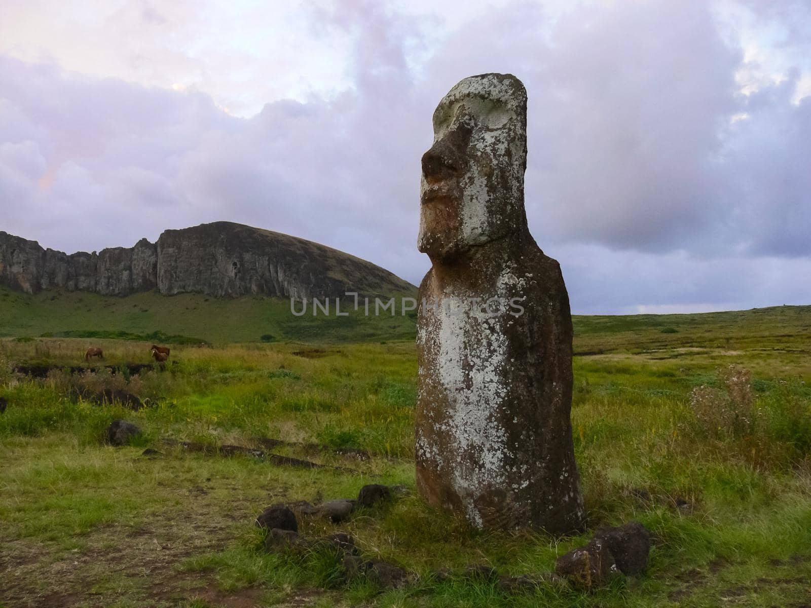 Statues of the gods of Easter Island. Ancient statues of ancient civilization on Easter Island.