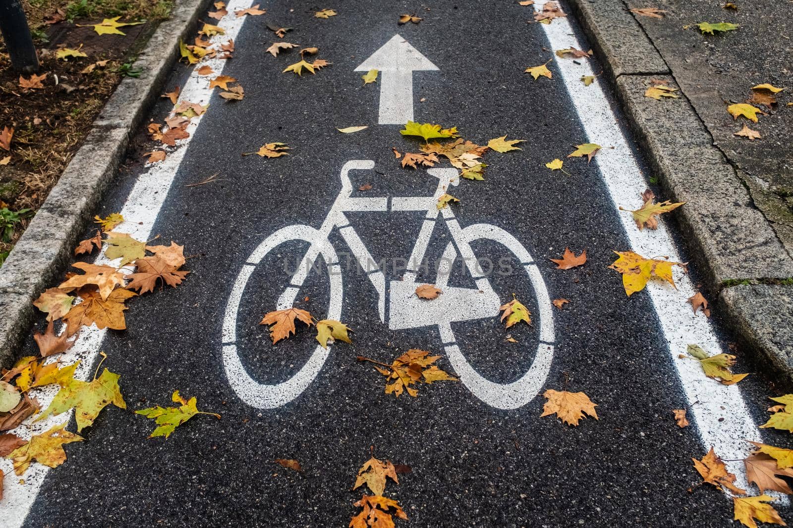 A bike lane with a dedicated space: comfort and safety for cyclists. Image with autumn background taken in the city of Brescia (Lombardy, Italy).